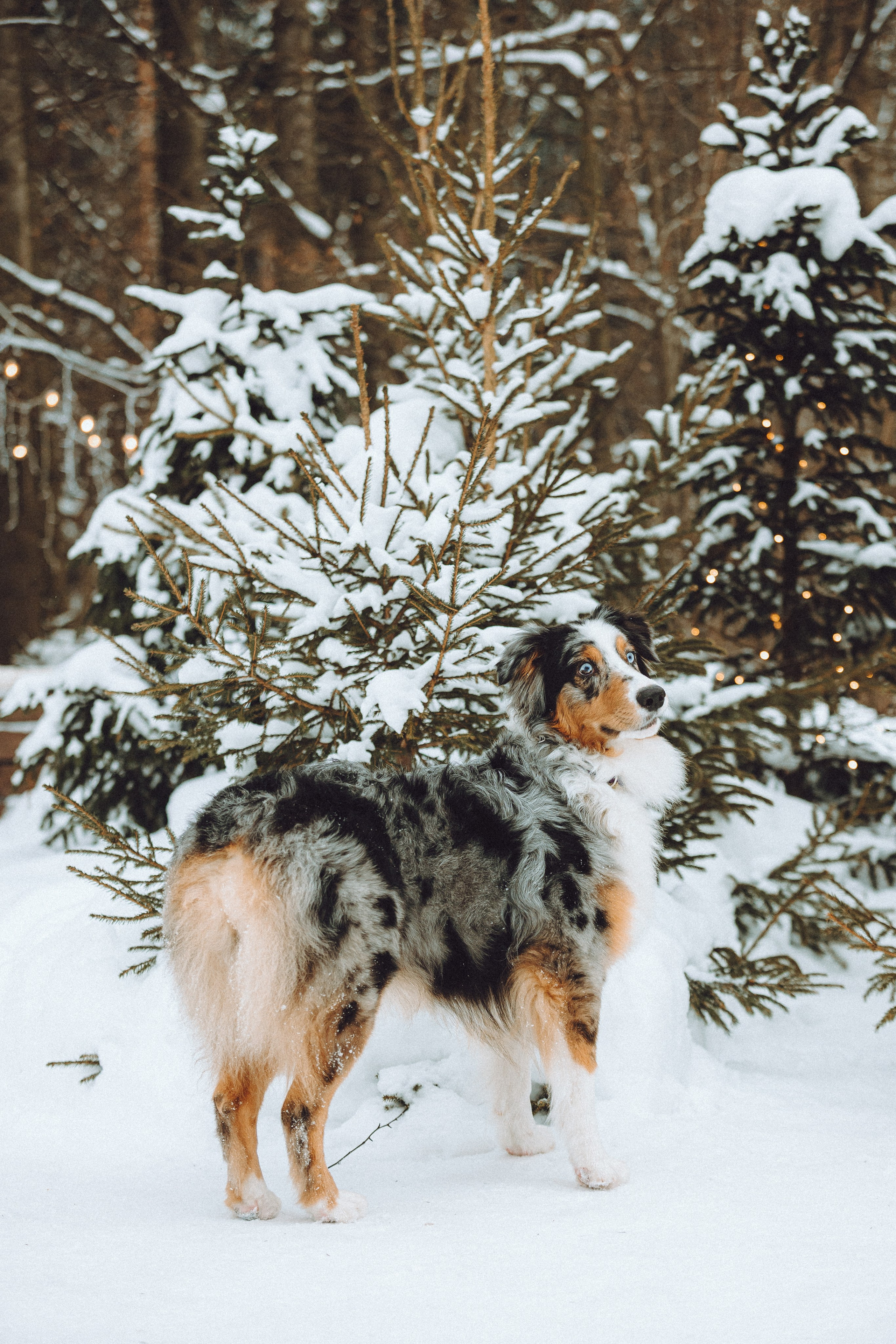 Фаня и ее семья