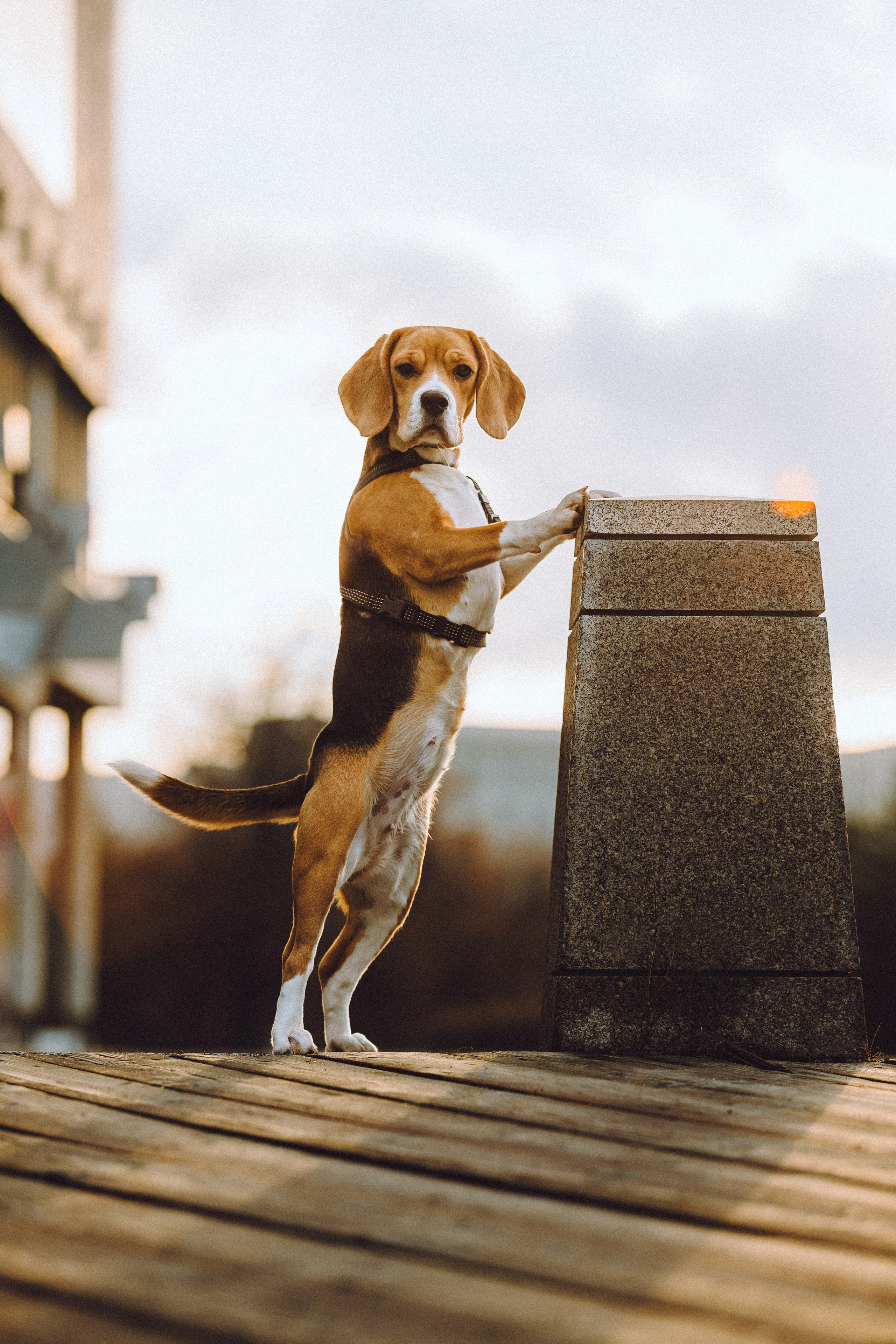 Ксюша и Мэгги