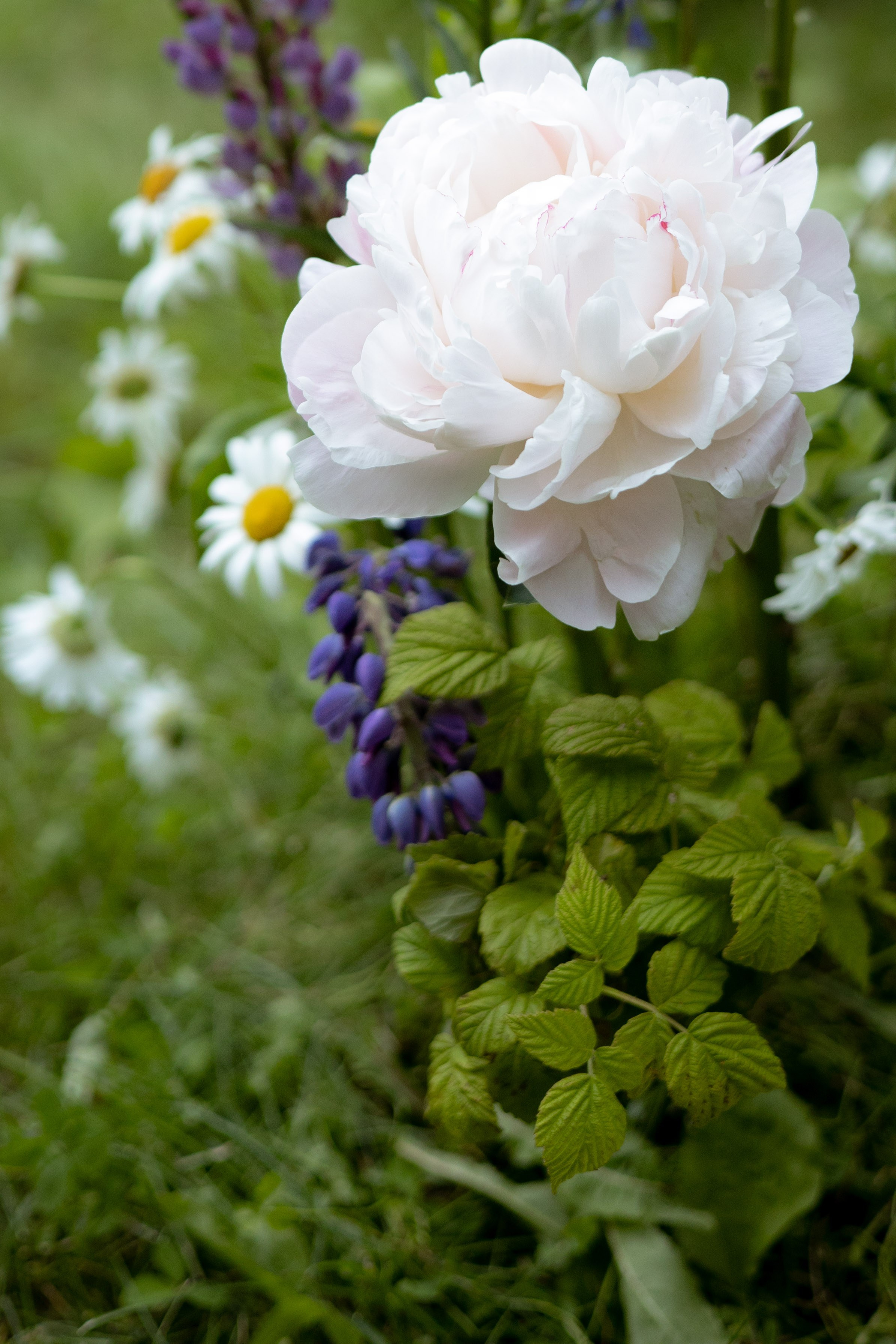 Павел & Полина. Оформление свадеб, декор свадеб Вера Маркова, Москва