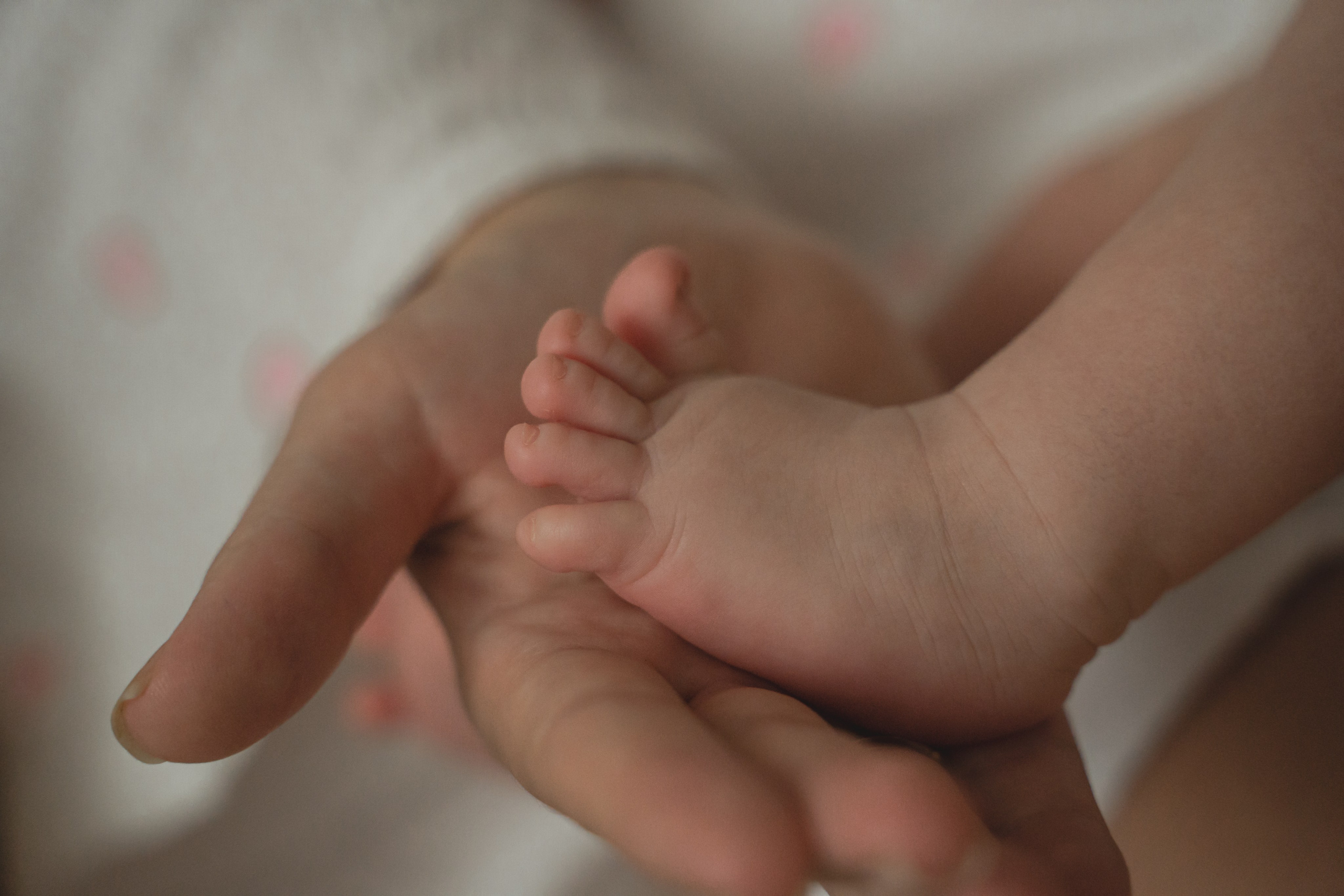 Малышке Алисе 1 месяц. Главная