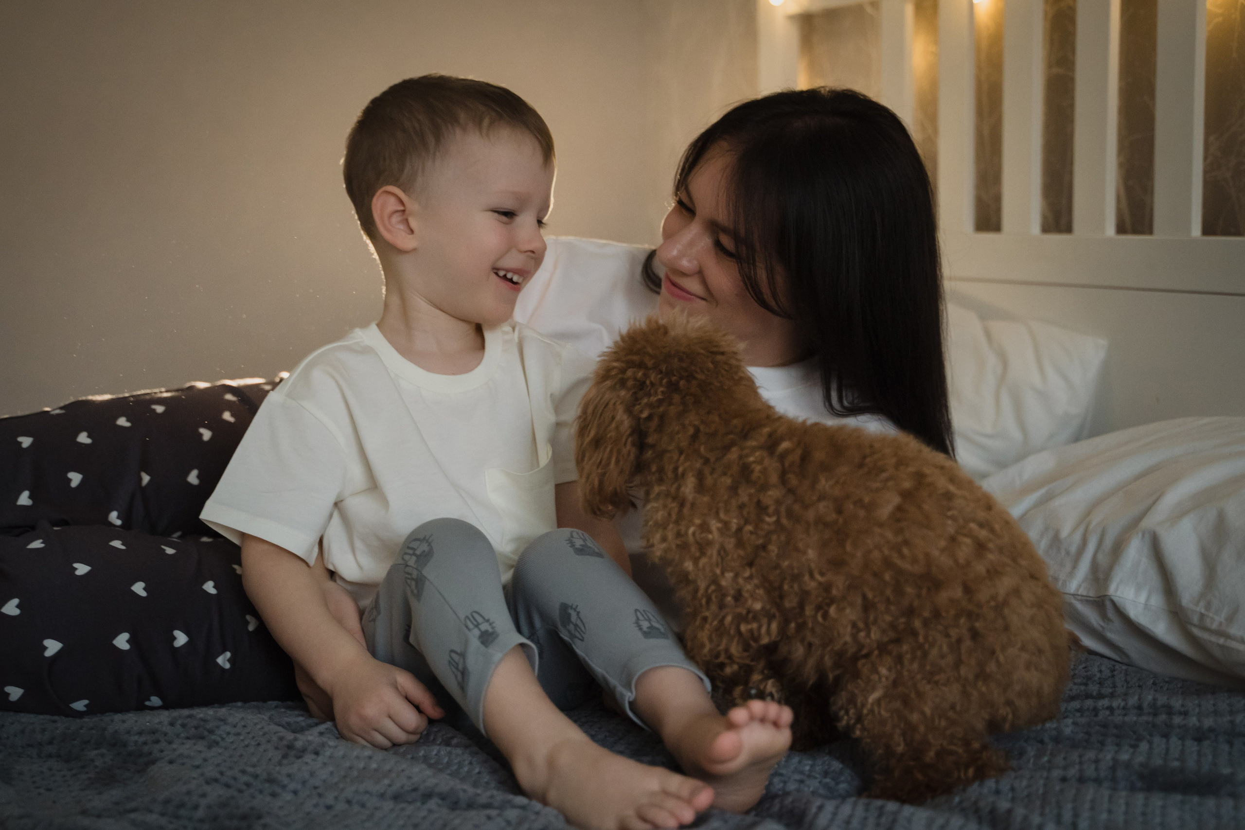 Предновогодний вечер. Главная