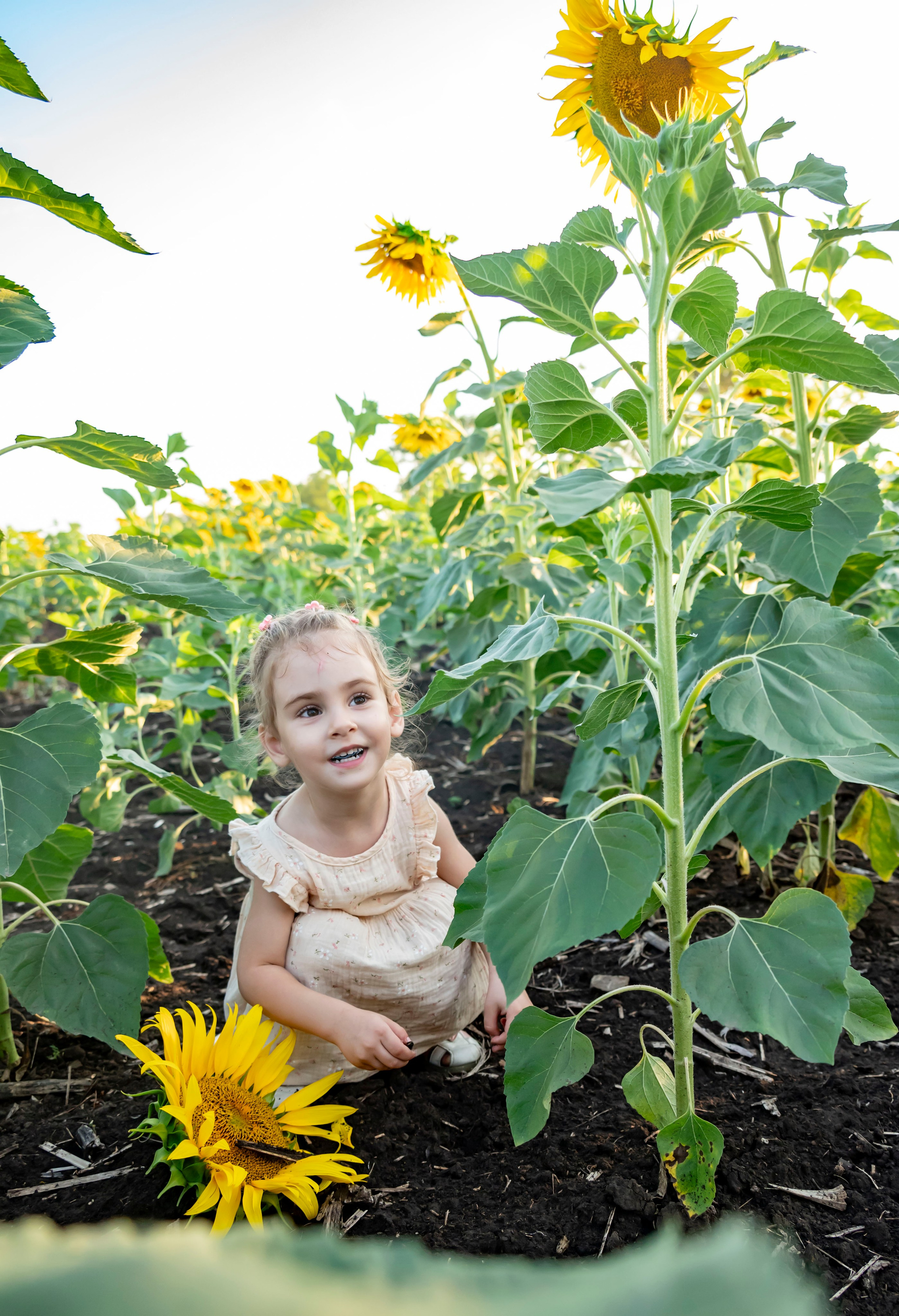 Летняя прогулка. Главная