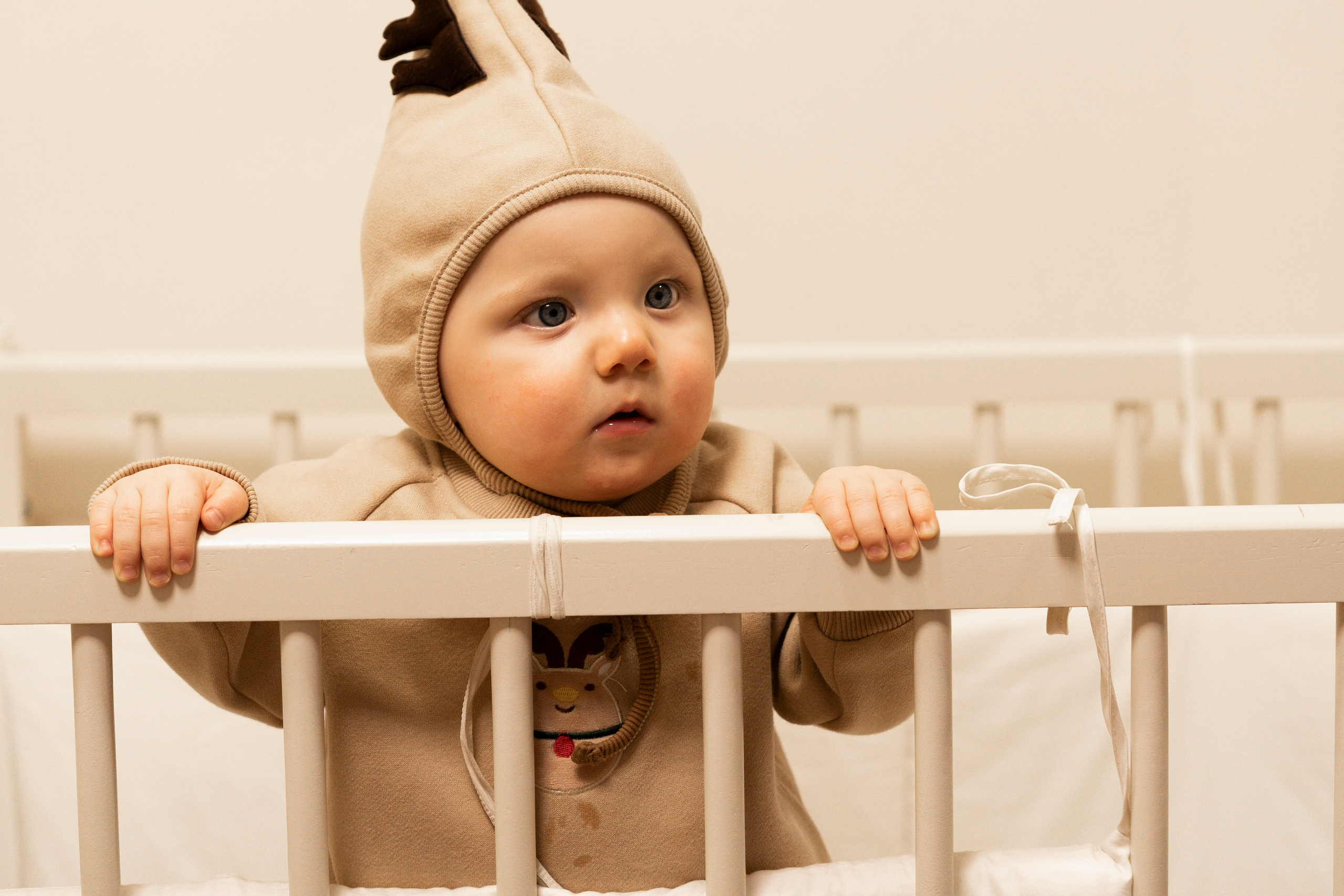 Новогодние тройняшки. Главная