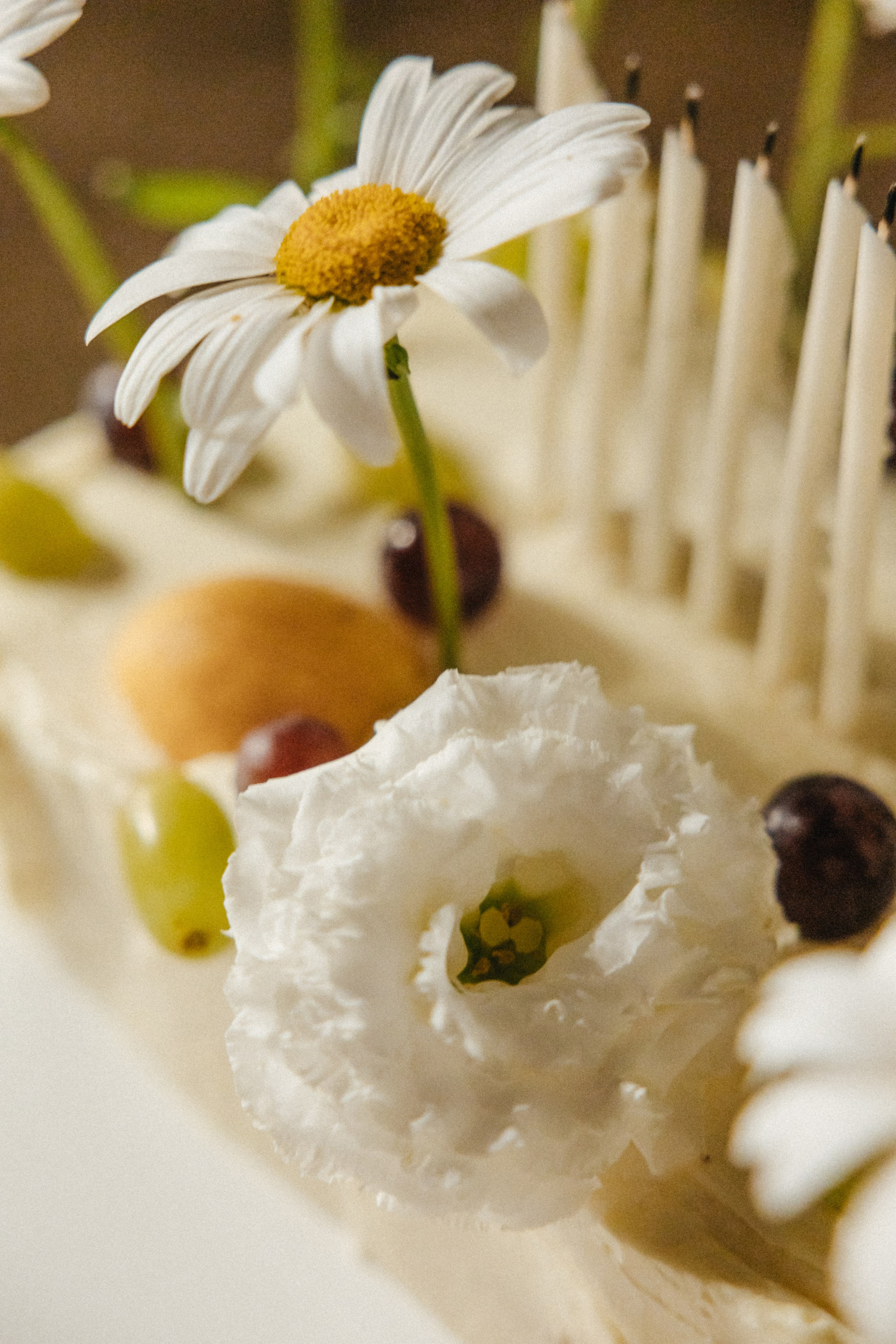 Шепот трав. Свадебный и семейный фотограф и видеограф, Крым, Москва, Санкт -Петербург