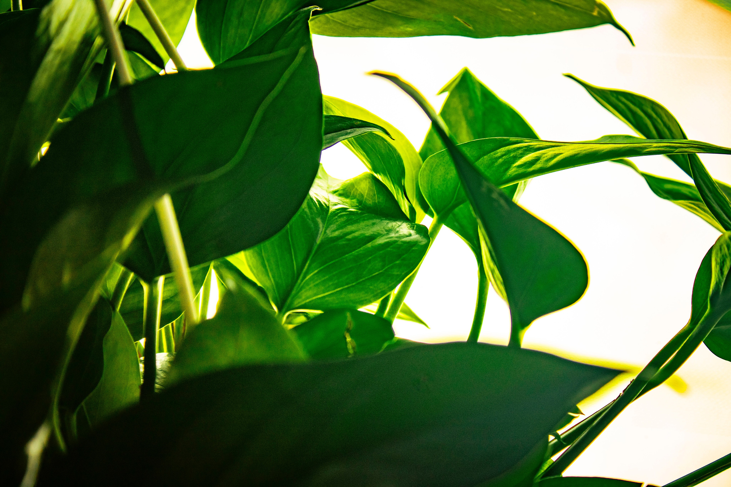 Когда я в море. Часть 1. Фотограф г. Владивосток