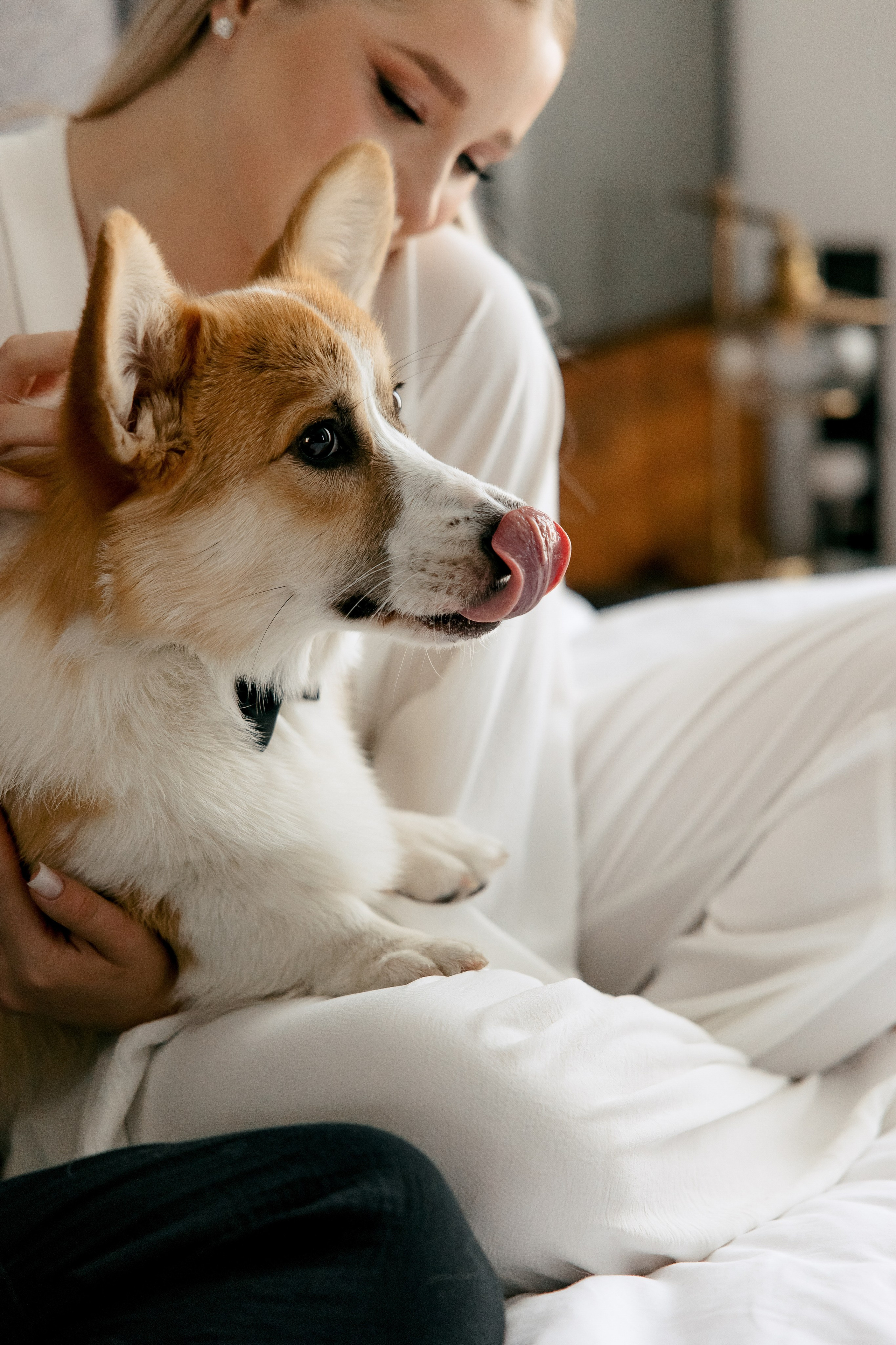 Евгений и Мирослава. Wedding and Reportage photographer Marmarov Christya