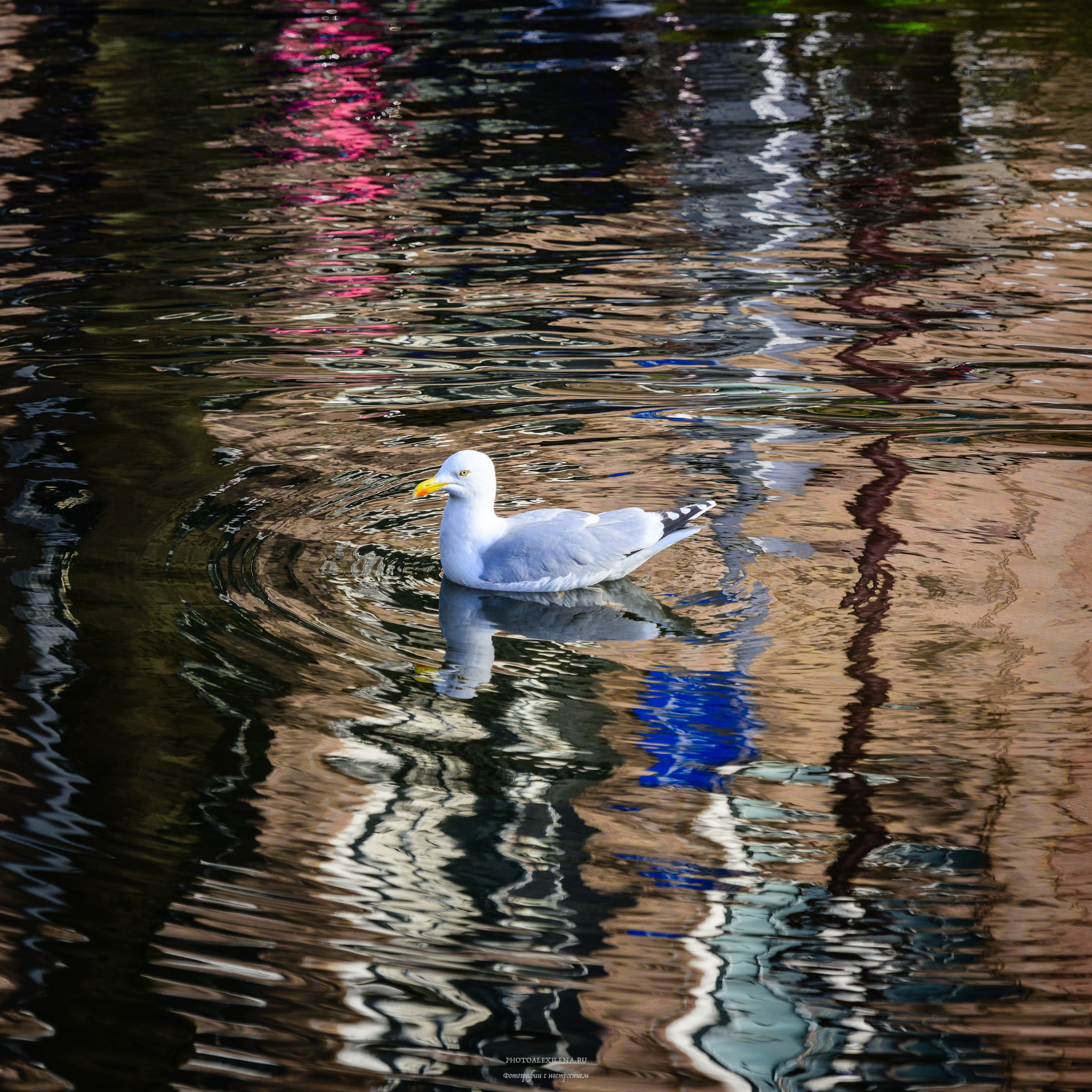 И это всё о нём. Авторские стильные фотокартины