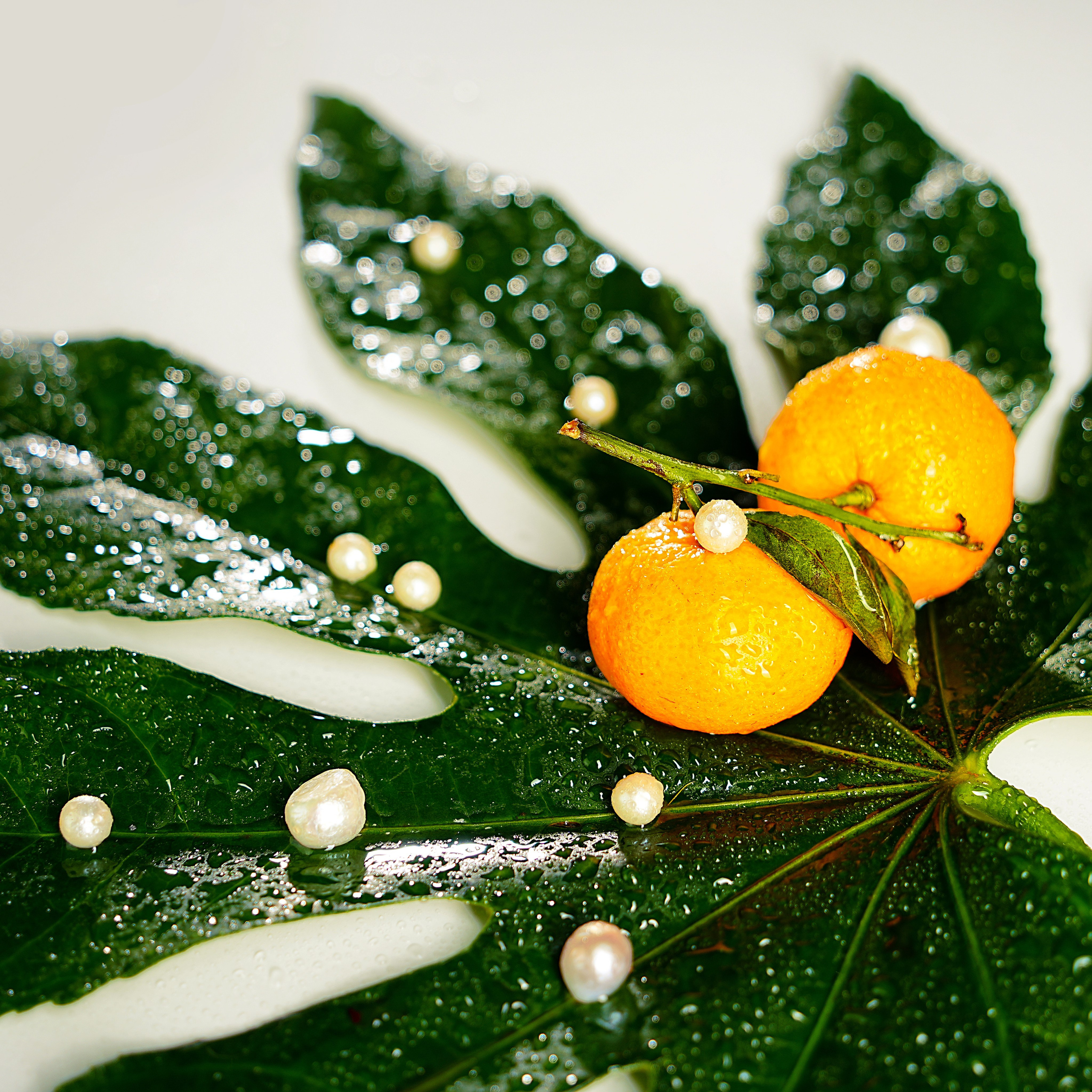 Предметная фотосъёмка. Фотограф, видеооператор Нина Коршунова