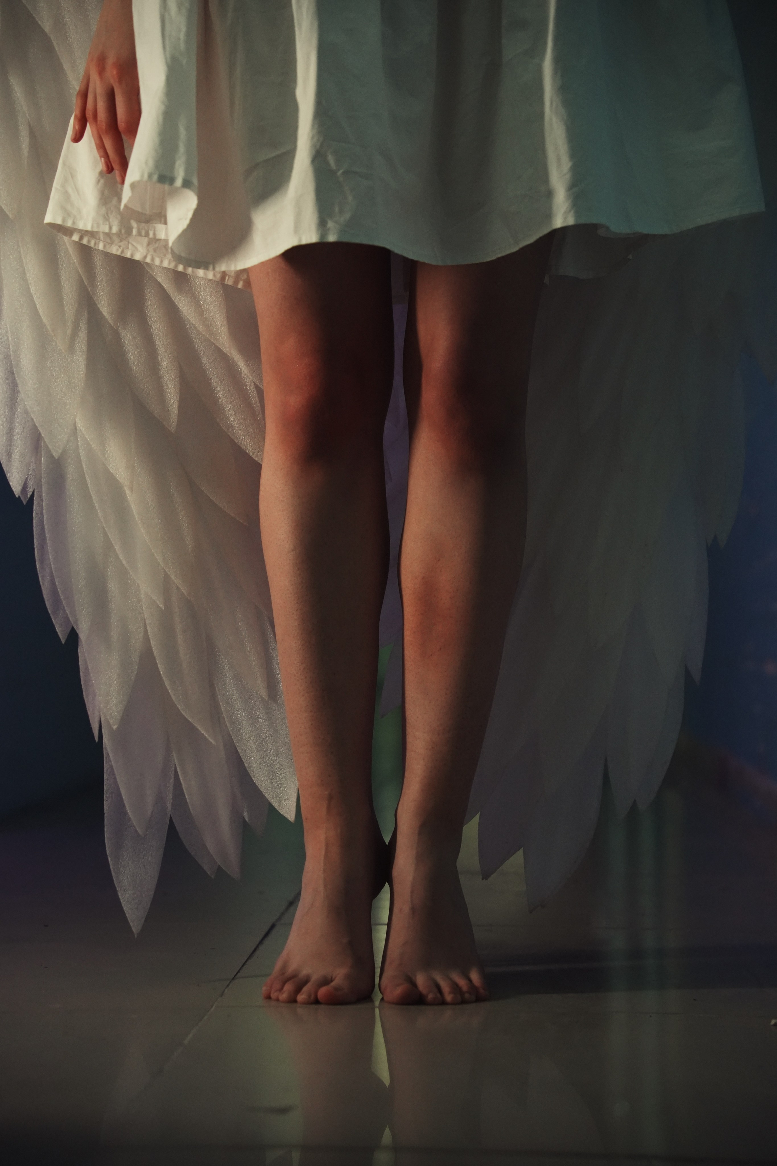 ПАДШИЙ АНГЕЛ. VetkasART