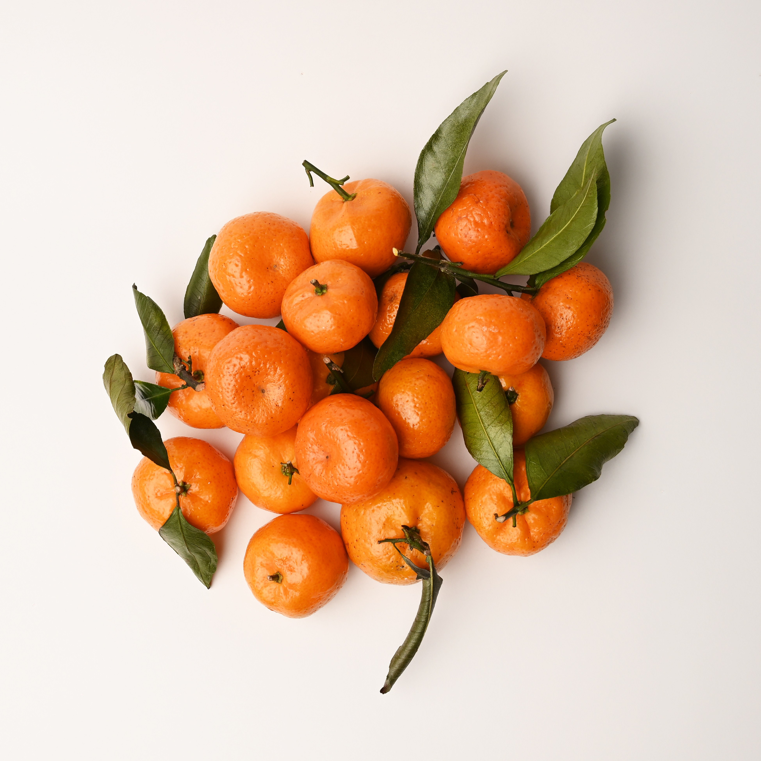 Реклама. De_ross photo. Москва. Санкт-Петербург. Россия