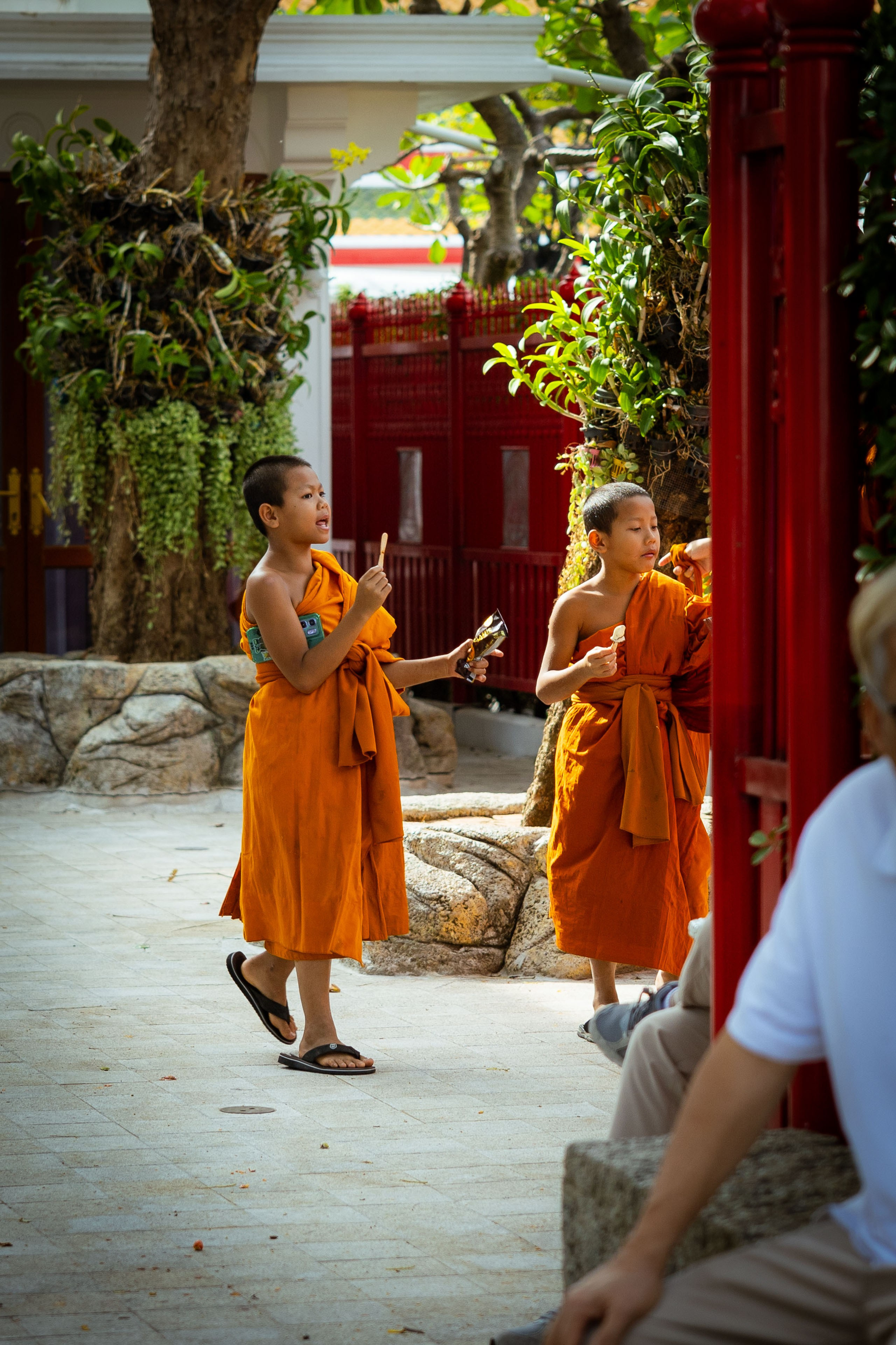 Таиланд (зима 2025). Фотограф Виноградов Константин