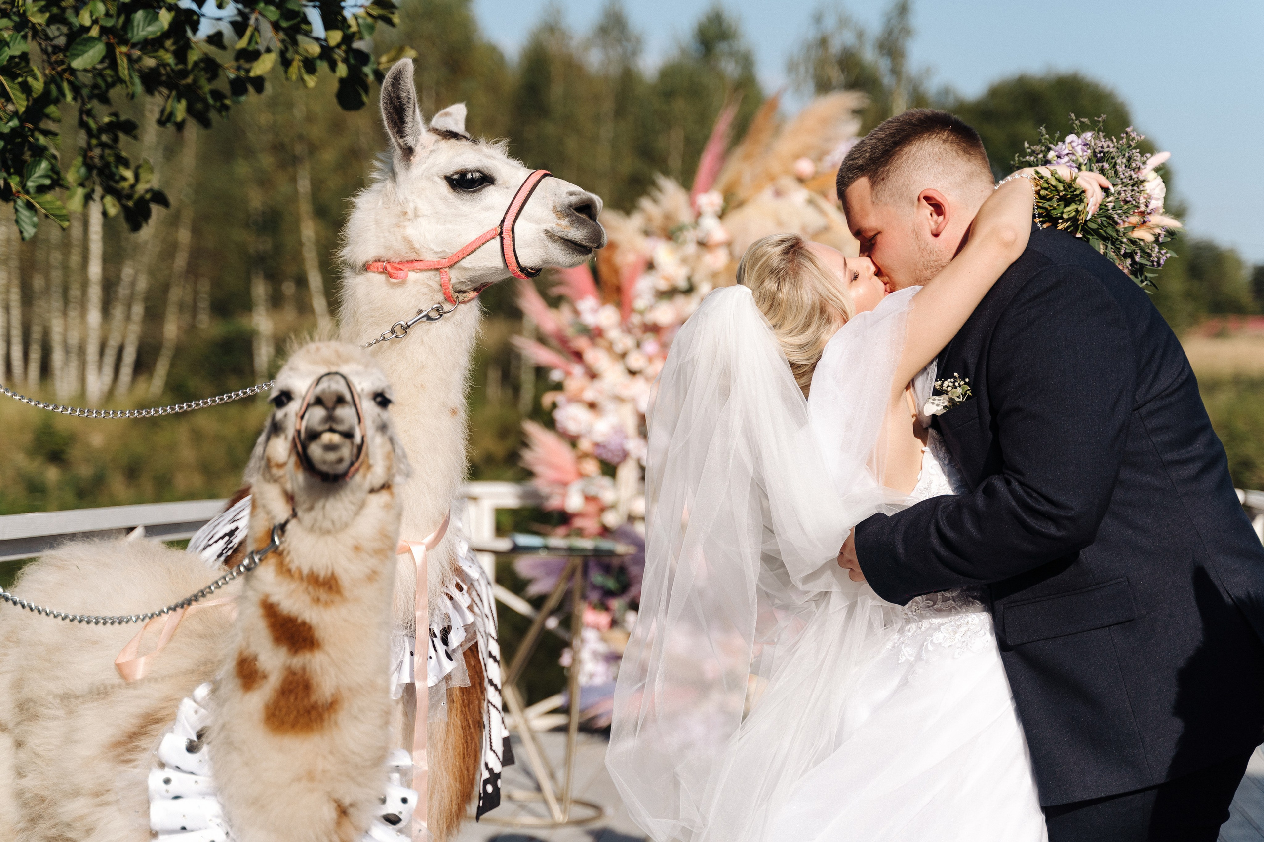 Свадебная фотосессия. Свадебный и семейный фотограф в Серпухове и Москве Павел Воробьев