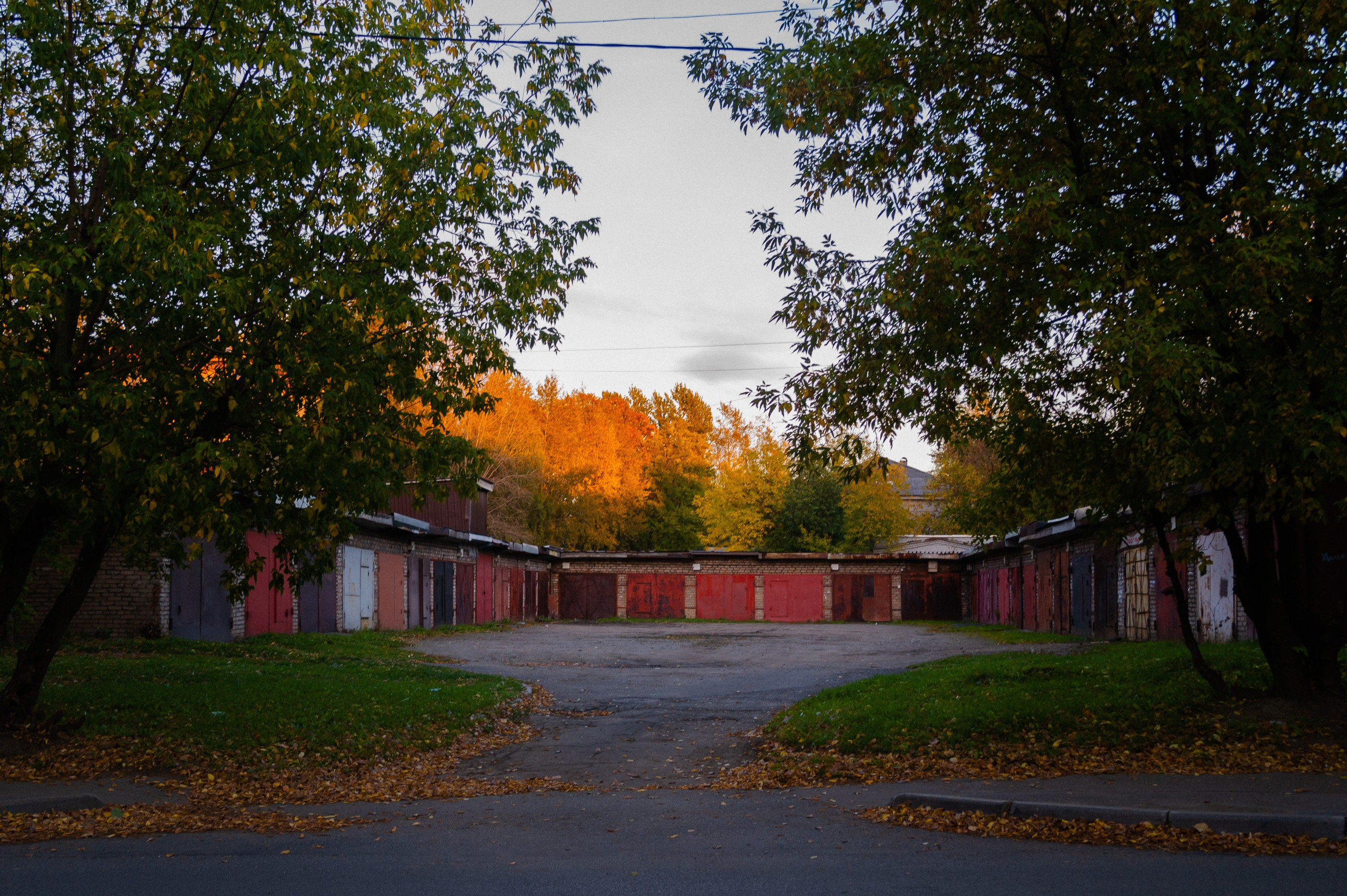 Сентябрь 2025. Den Mirov — Фотограф, Музыкант