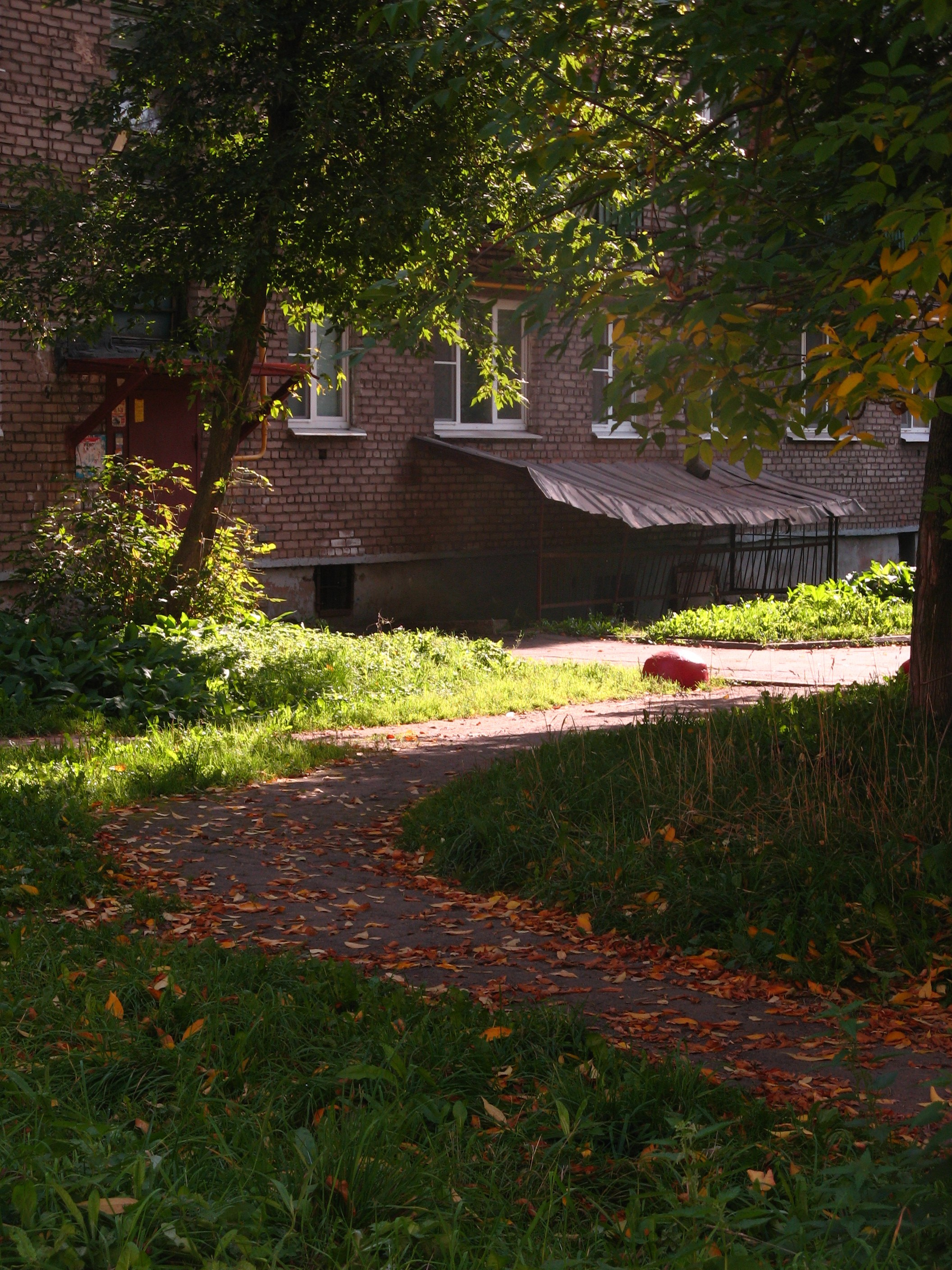 Сентябрь 2025. Den Mirov — Фотограф, Музыкант
