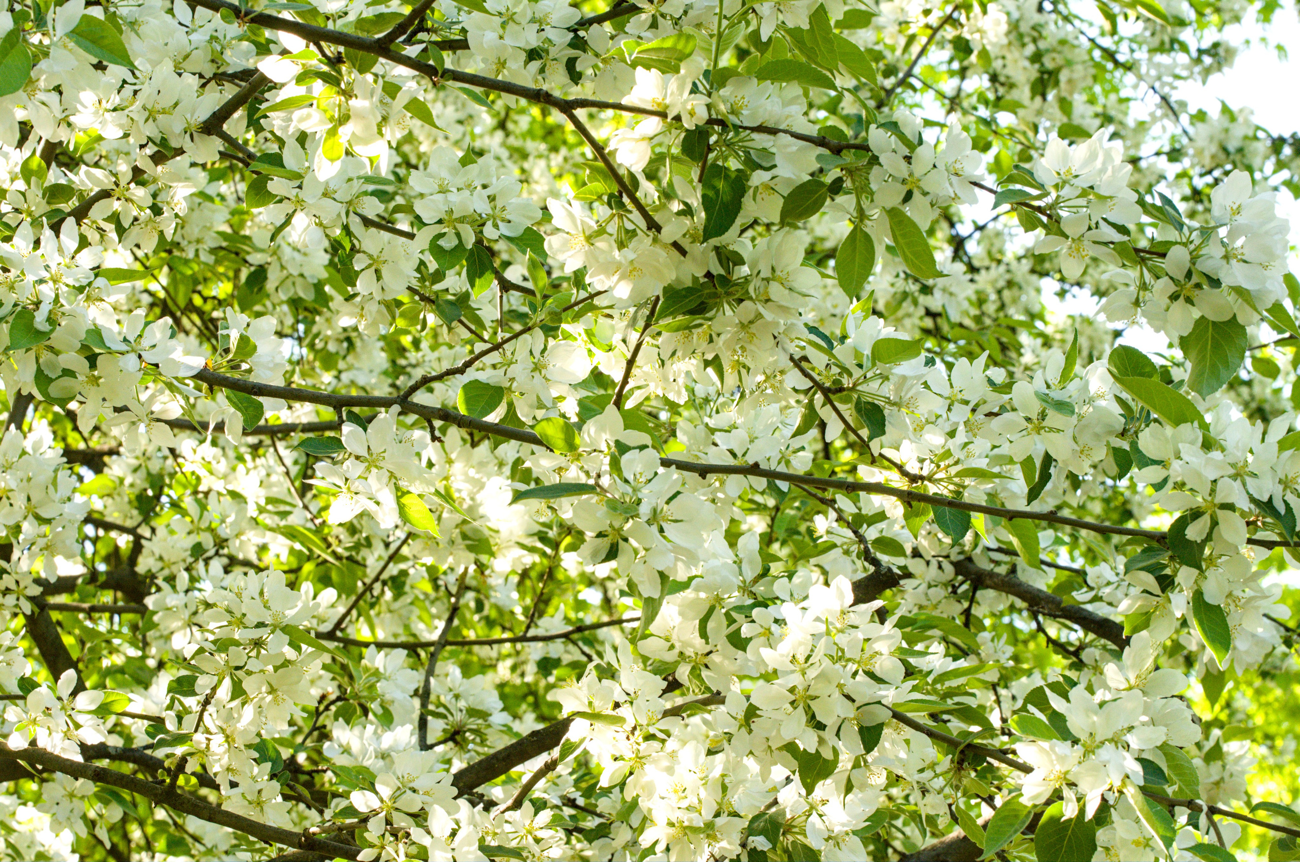 Природа. Фото детских спортивных мероприятий и всякое интересное через объектив