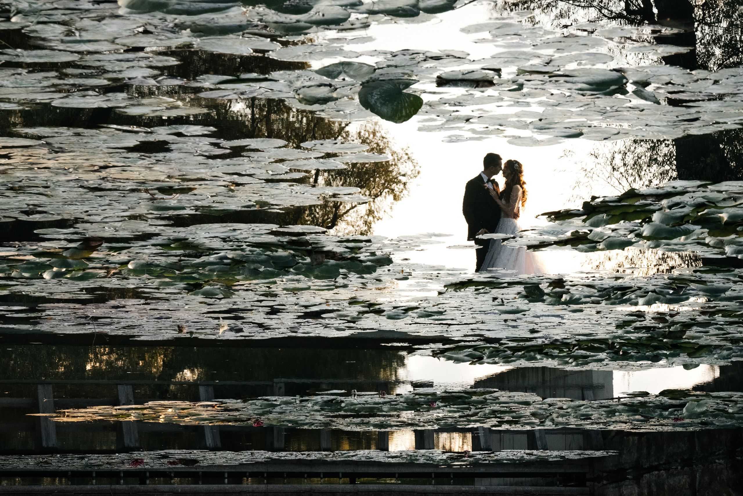 Влад & Алина. Свадебный фотограф в Новороссийске Александр Абрамян