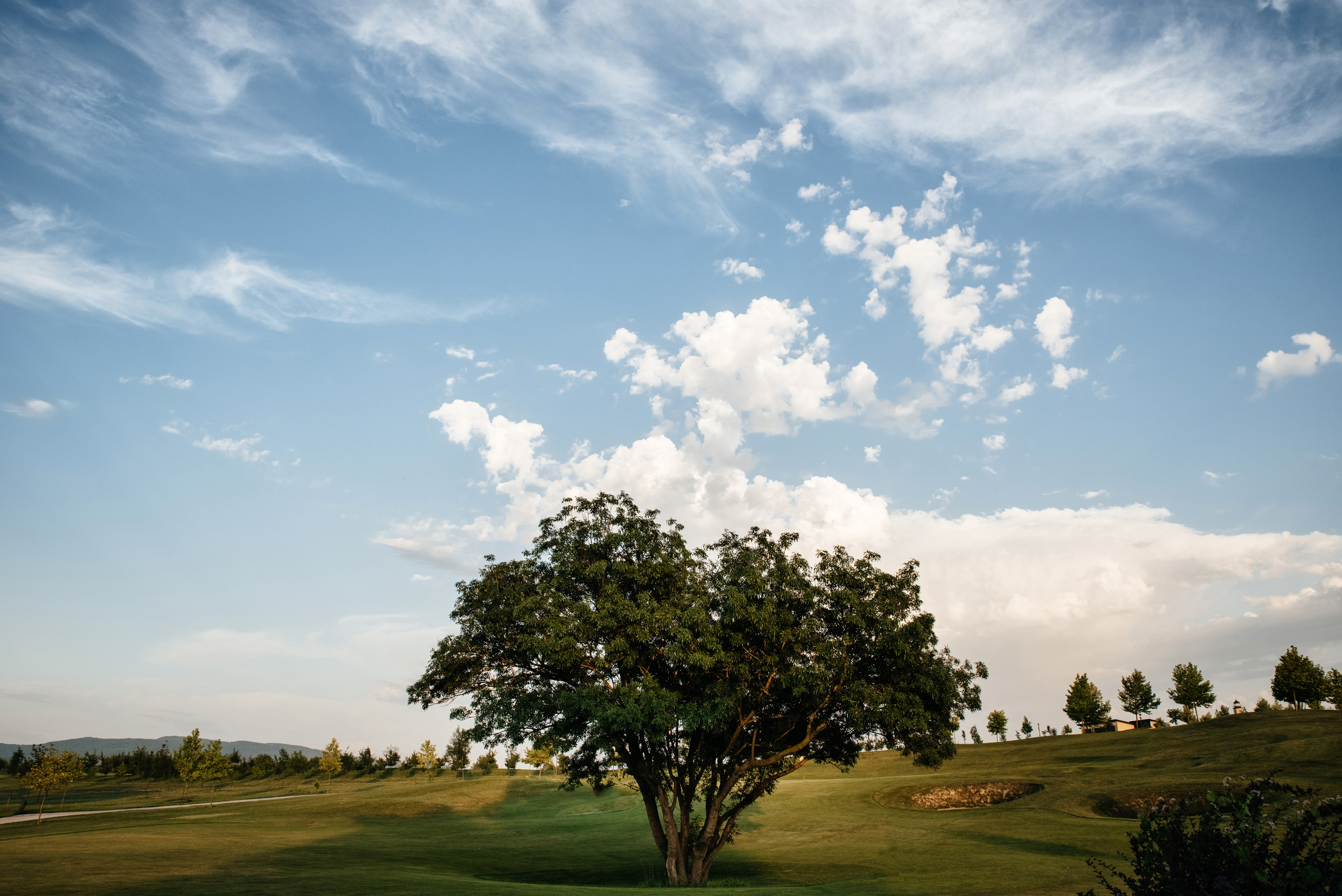 Влад & Алина. Свадебный фотограф в Новороссийске Александр Абрамян