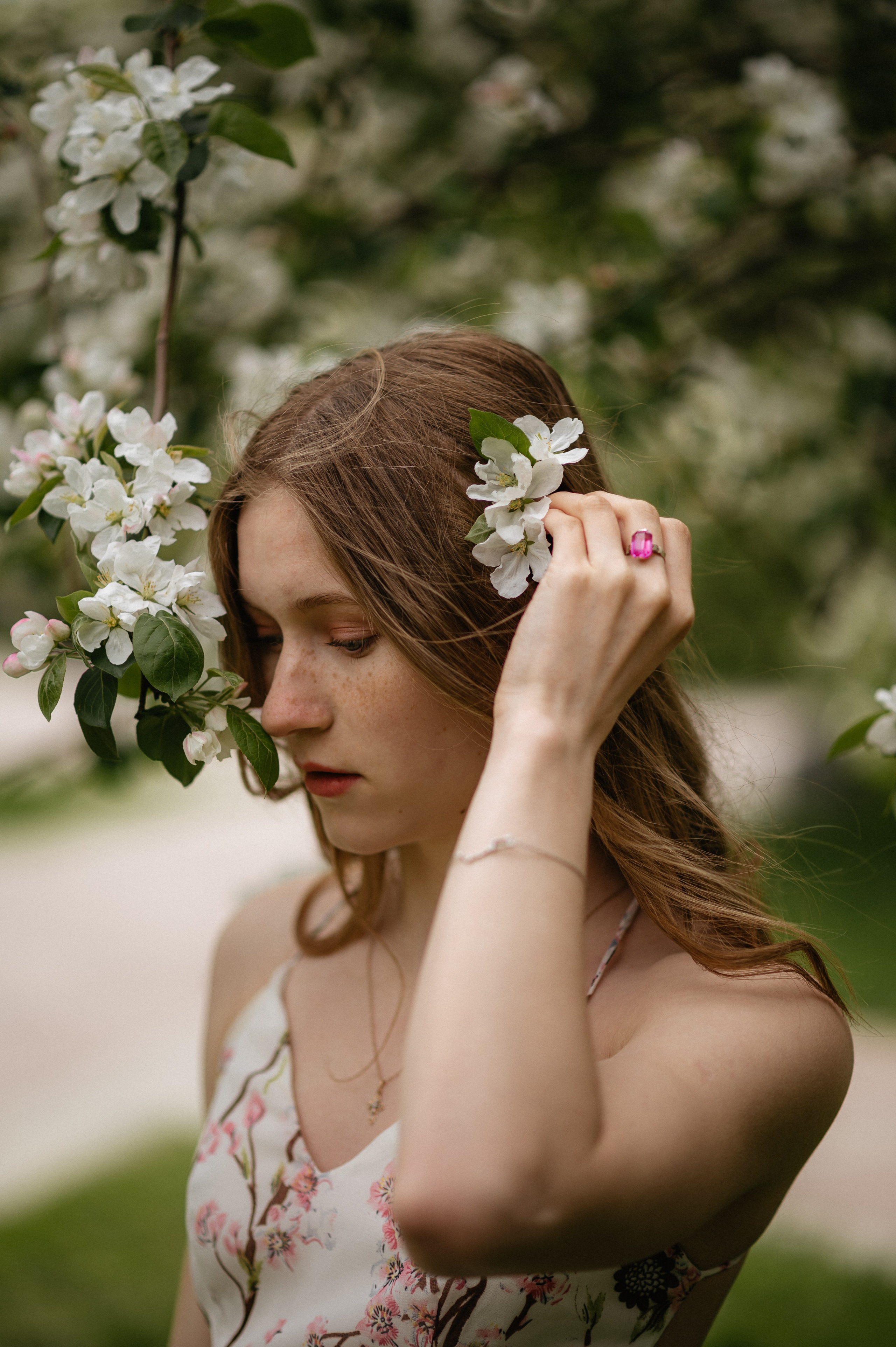 Ксюша, цветение. Главная