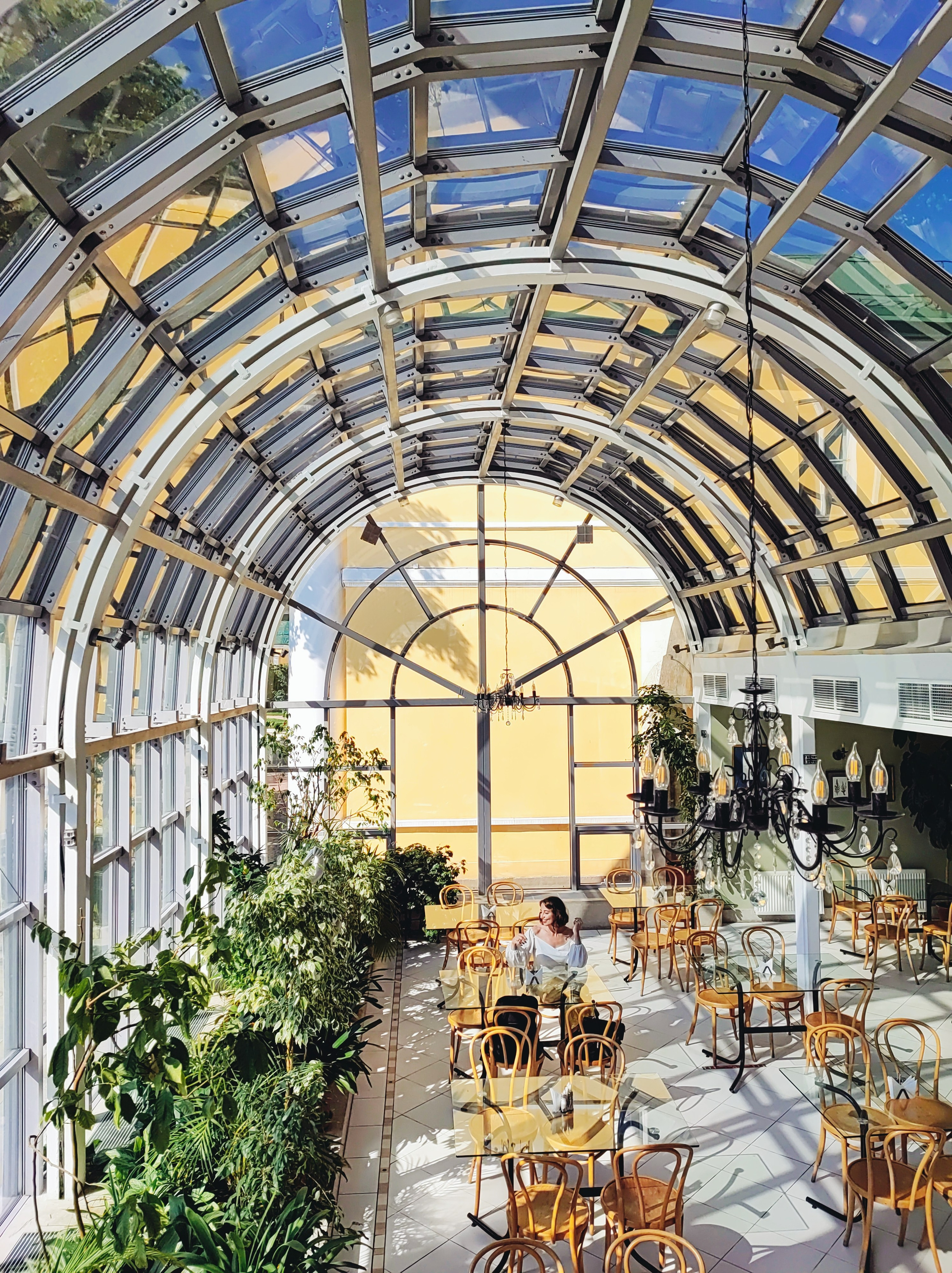 Намобилкус питерский. Репортажный фотограф Алексей Пирязев