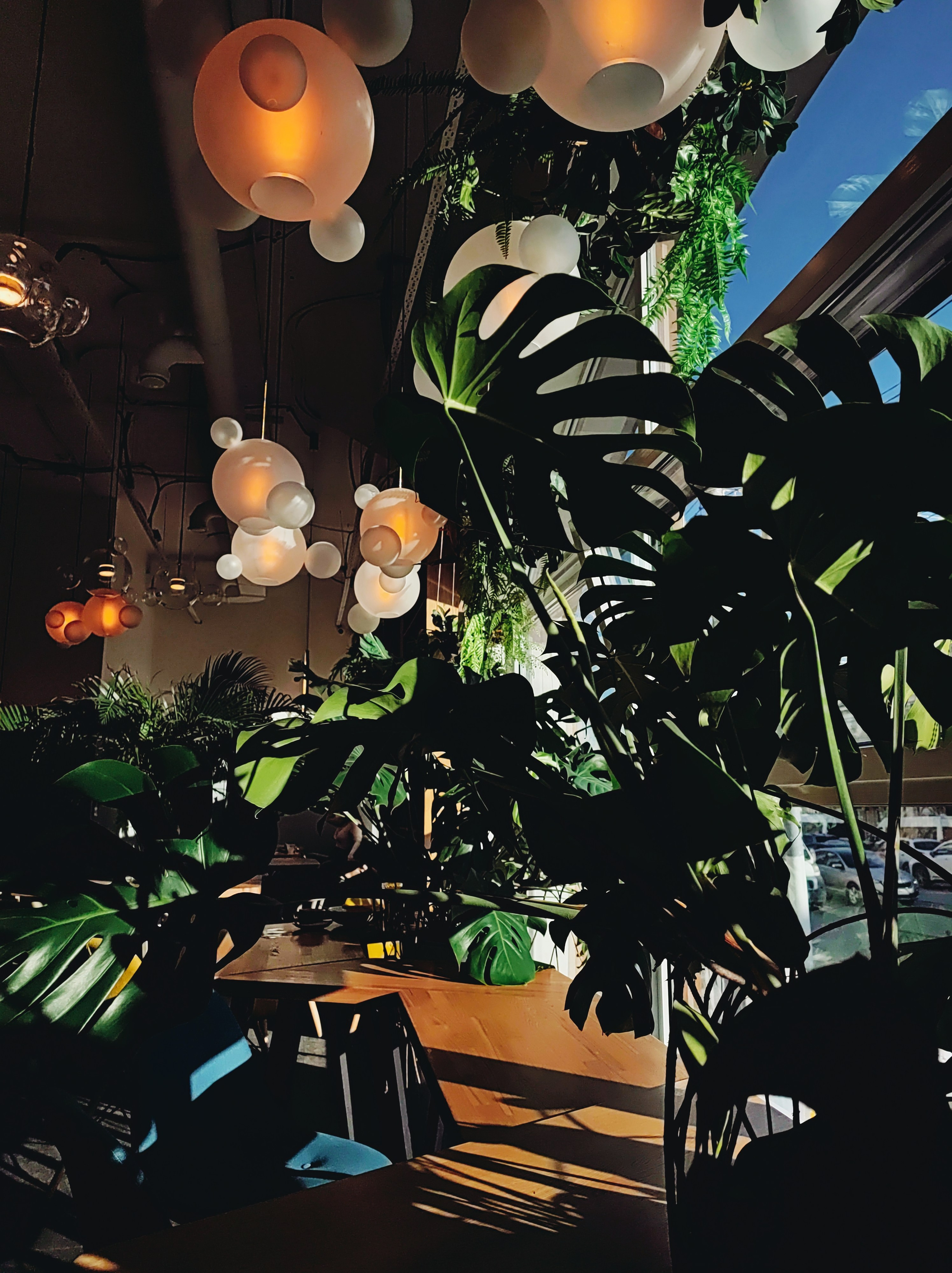 Намобилкус тульский. Репортажный фотограф Алексей Пирязев