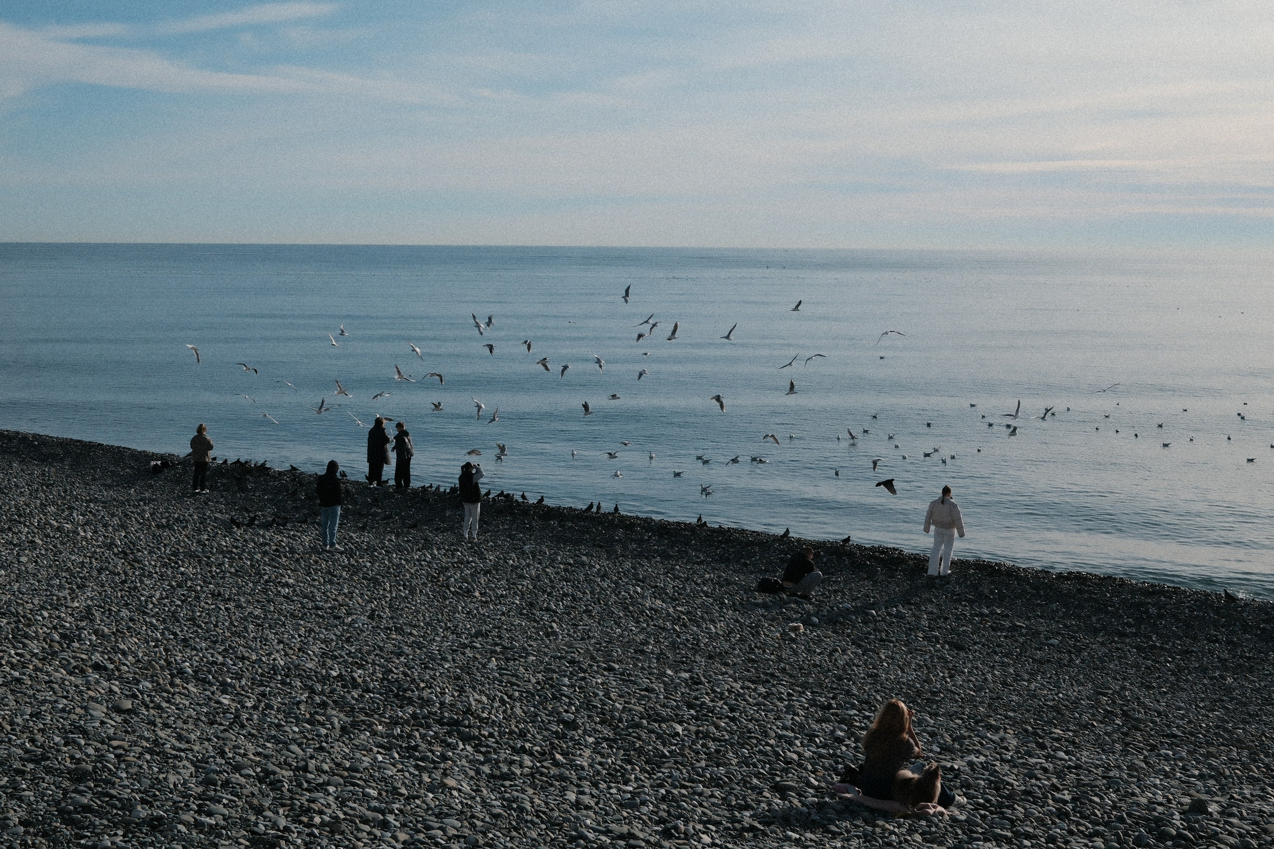 Фотографии зимнего Адлера. Алексей Торопов фотограф