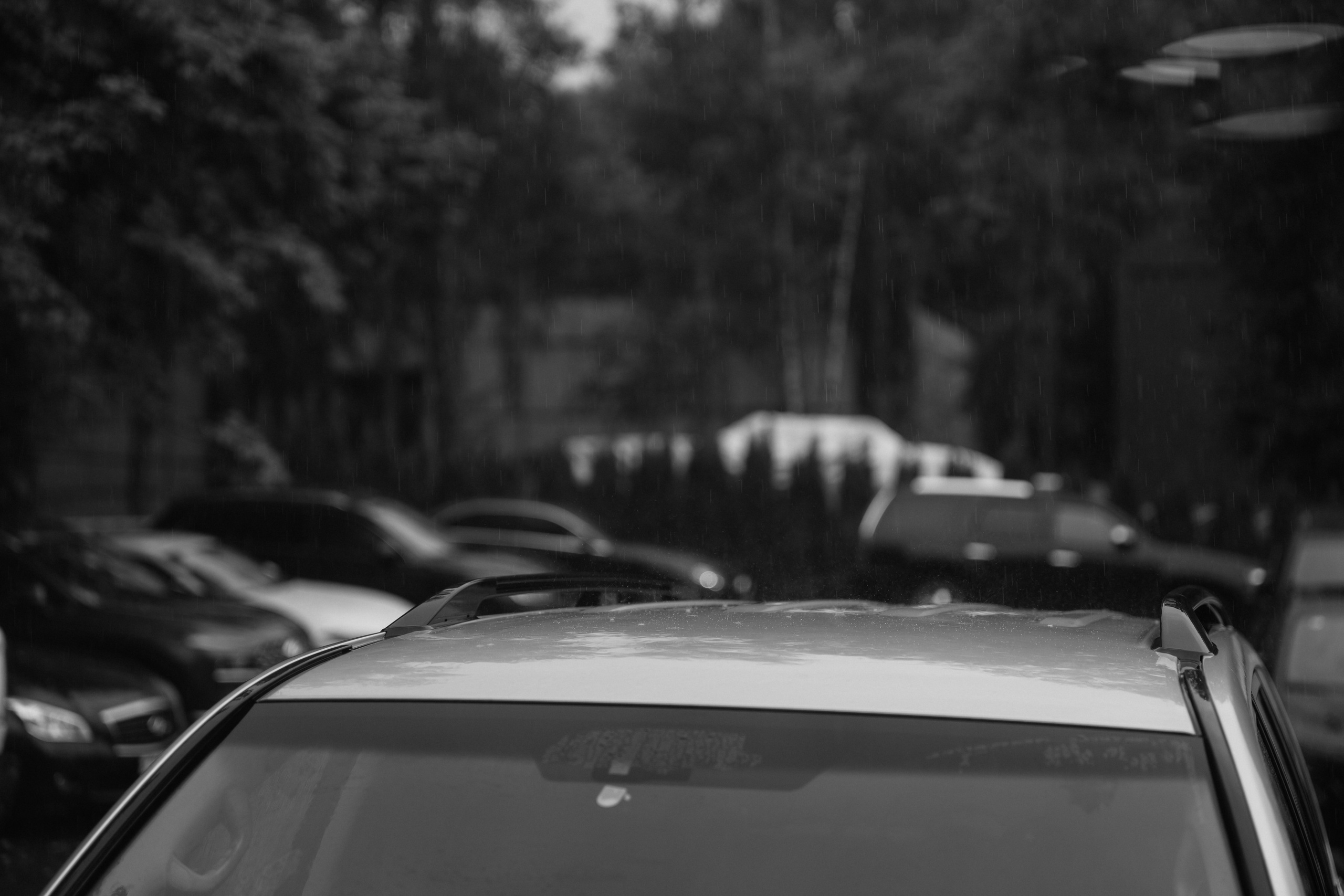 Юля и Миша. Свадебный и семейный фотограф в Москве и Красногорске — живые кадры | Анастасия Тихонова