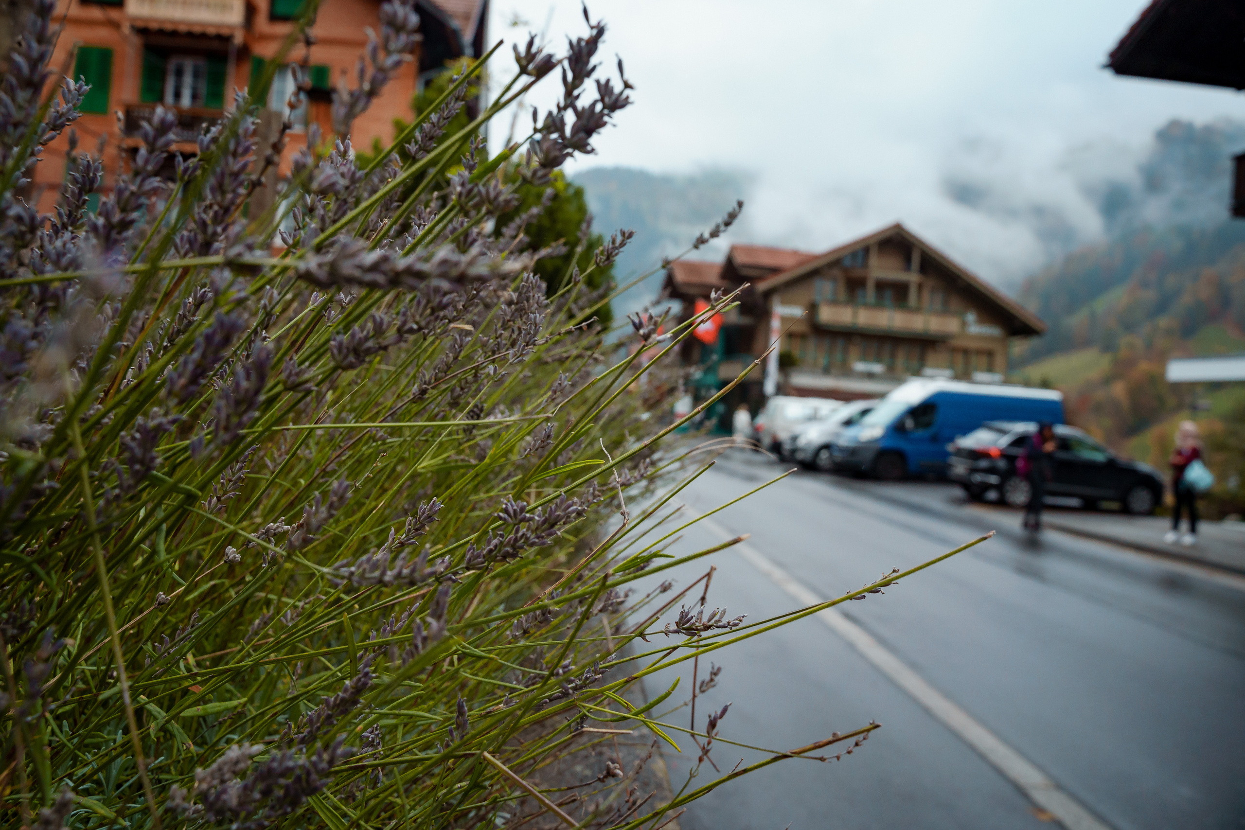 Свадебная фотосессия в Швейцарии, свадебный фотограф в Швейцарии