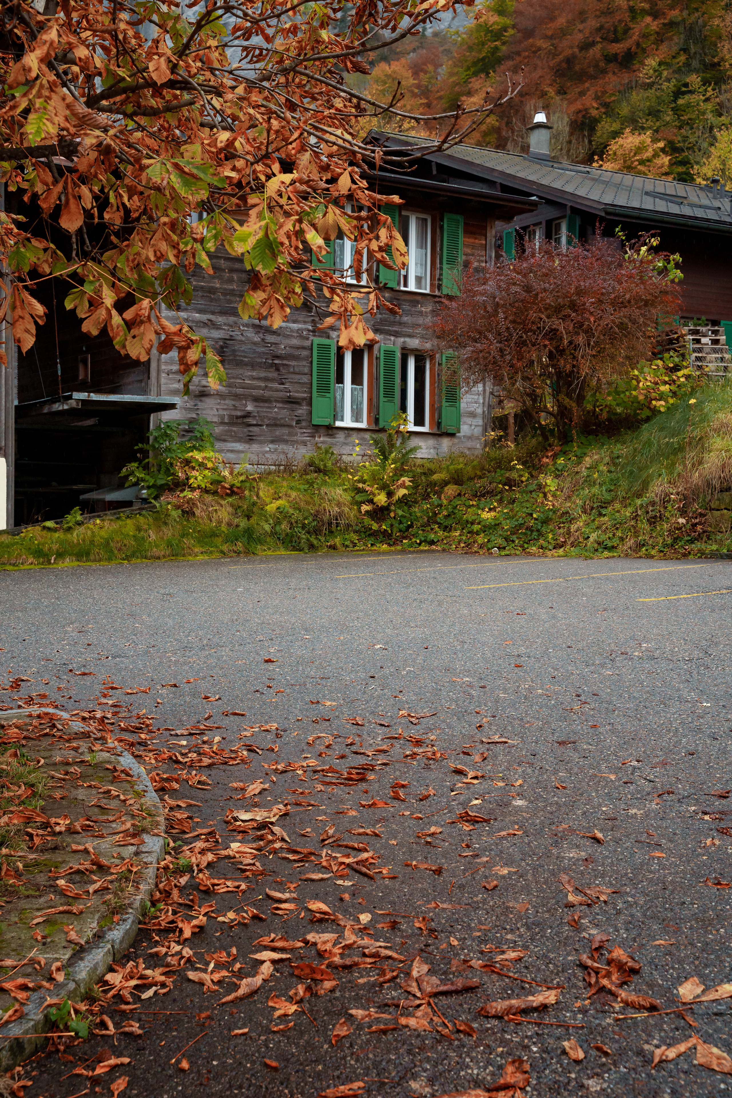 Свадебная фотосессия в Швейцарии, свадебный фотограф в Швейцарии