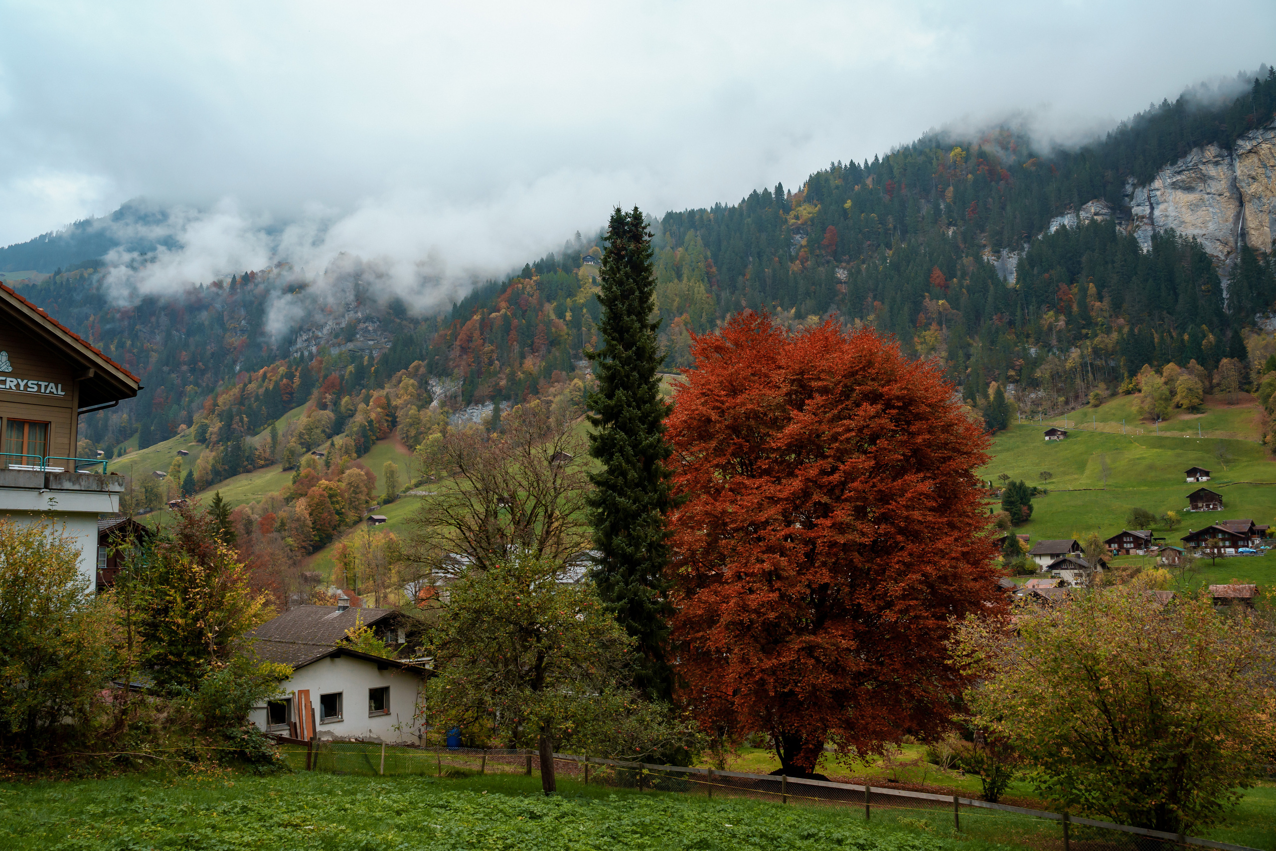 Свадебная фотосессия в Швейцарии, свадебный фотограф в Швейцарии