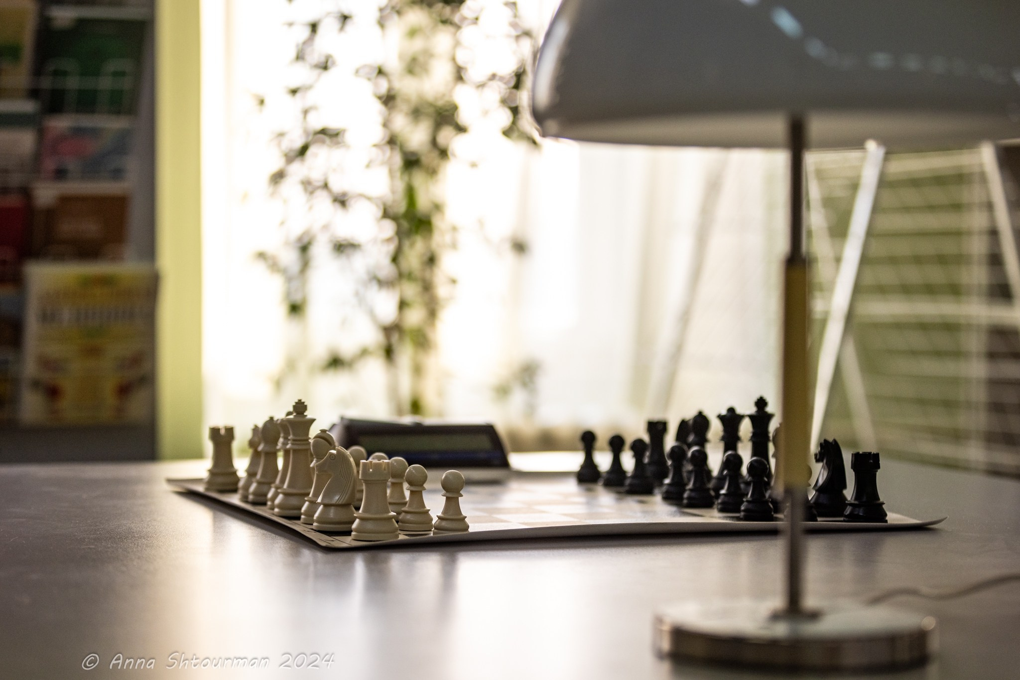 2024 Кубок Костромы по быстрым шахматам на призы ООО «СПЕЦСТАНОК». Фотограф Анна Штурман (репортажная съёмка любых событий и мероприятий) Anna Shtourman photographer