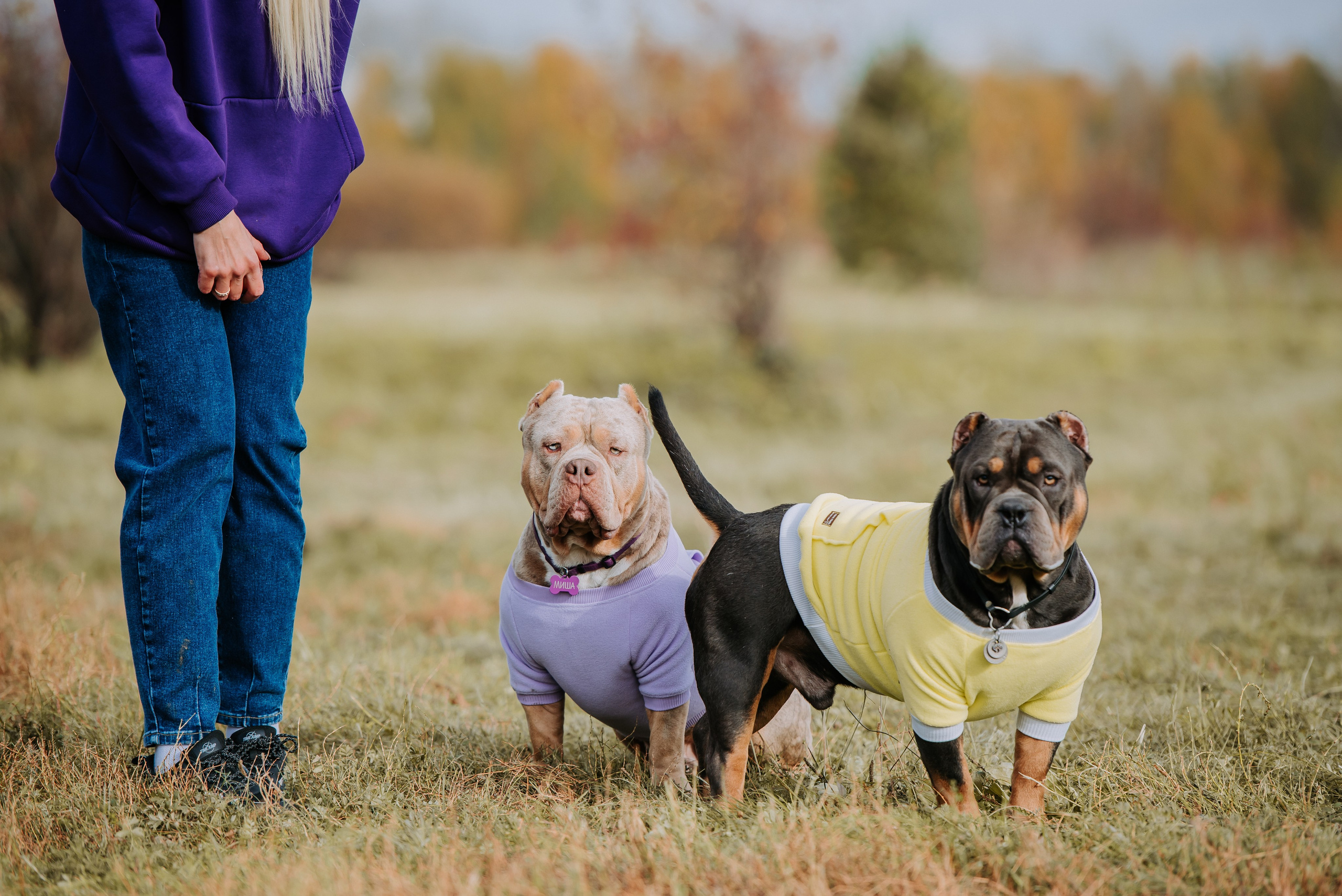 Фотопрогулка с питомцами. Фотограф Диана Оленина Красноярск / Братск