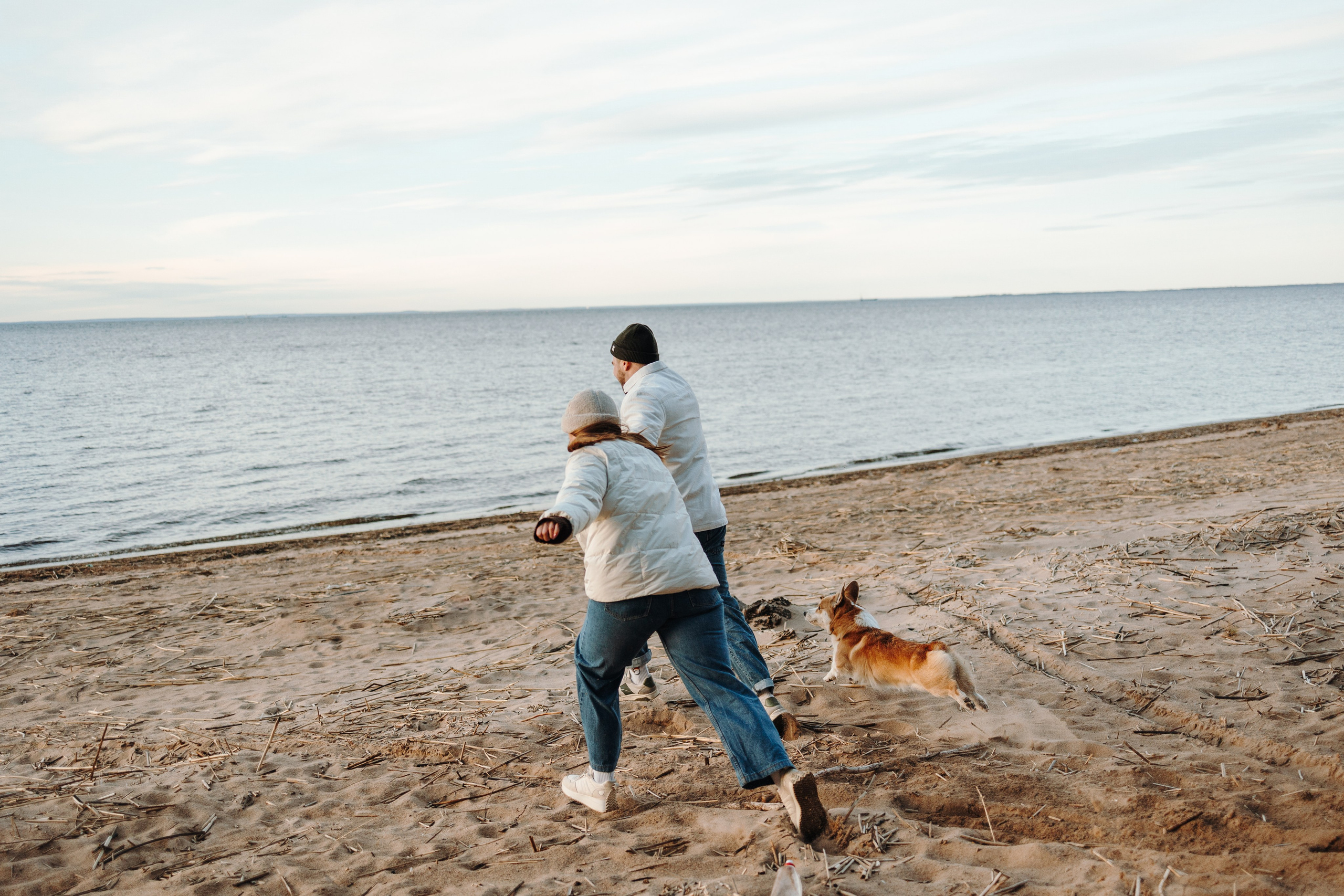 Найт и его семья. Фотограф — Анималист | Санкт-Петербург