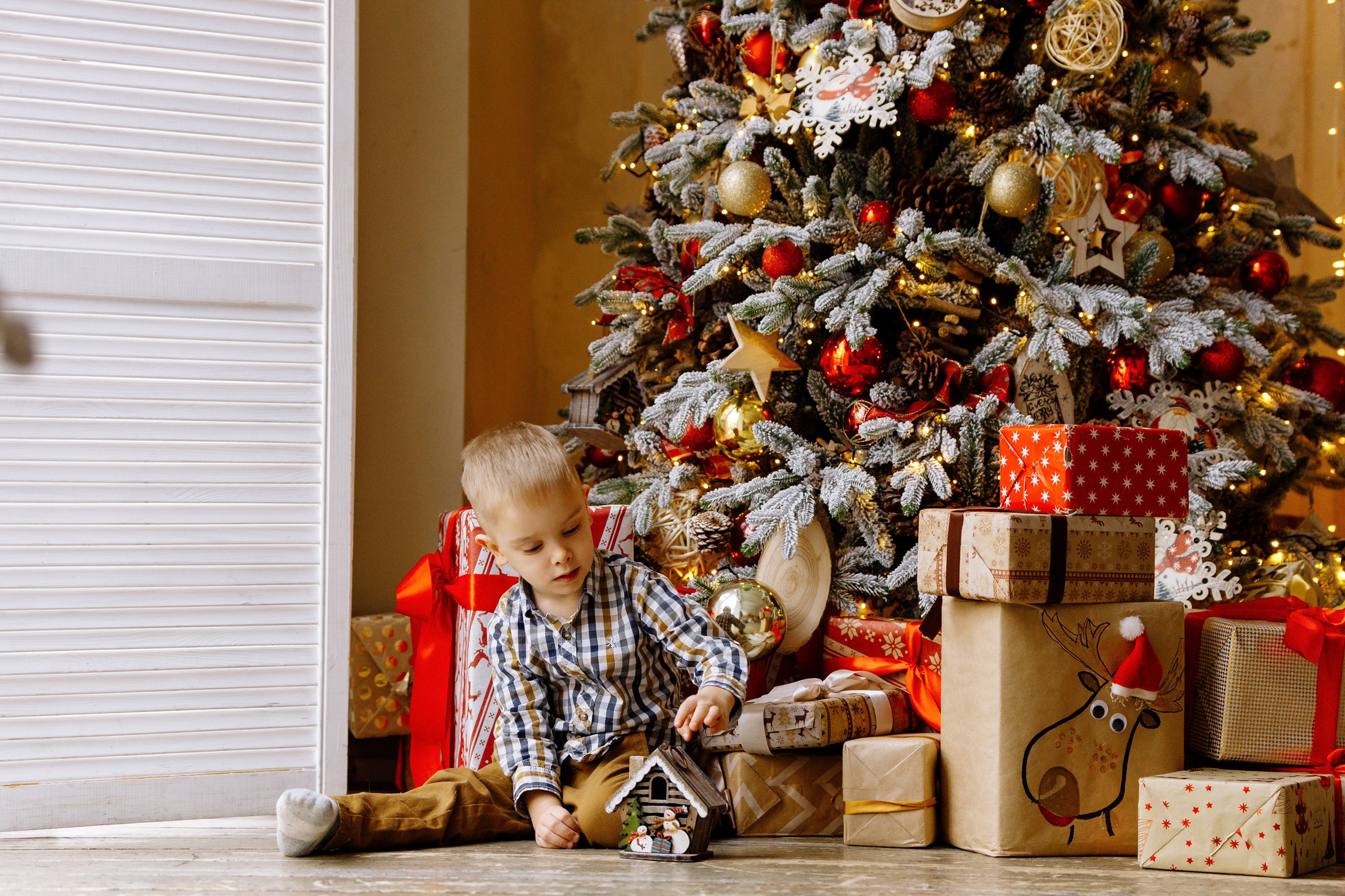 Новогодняя семейная съемка. Вася, Оля. Яро-Мир и Лёня