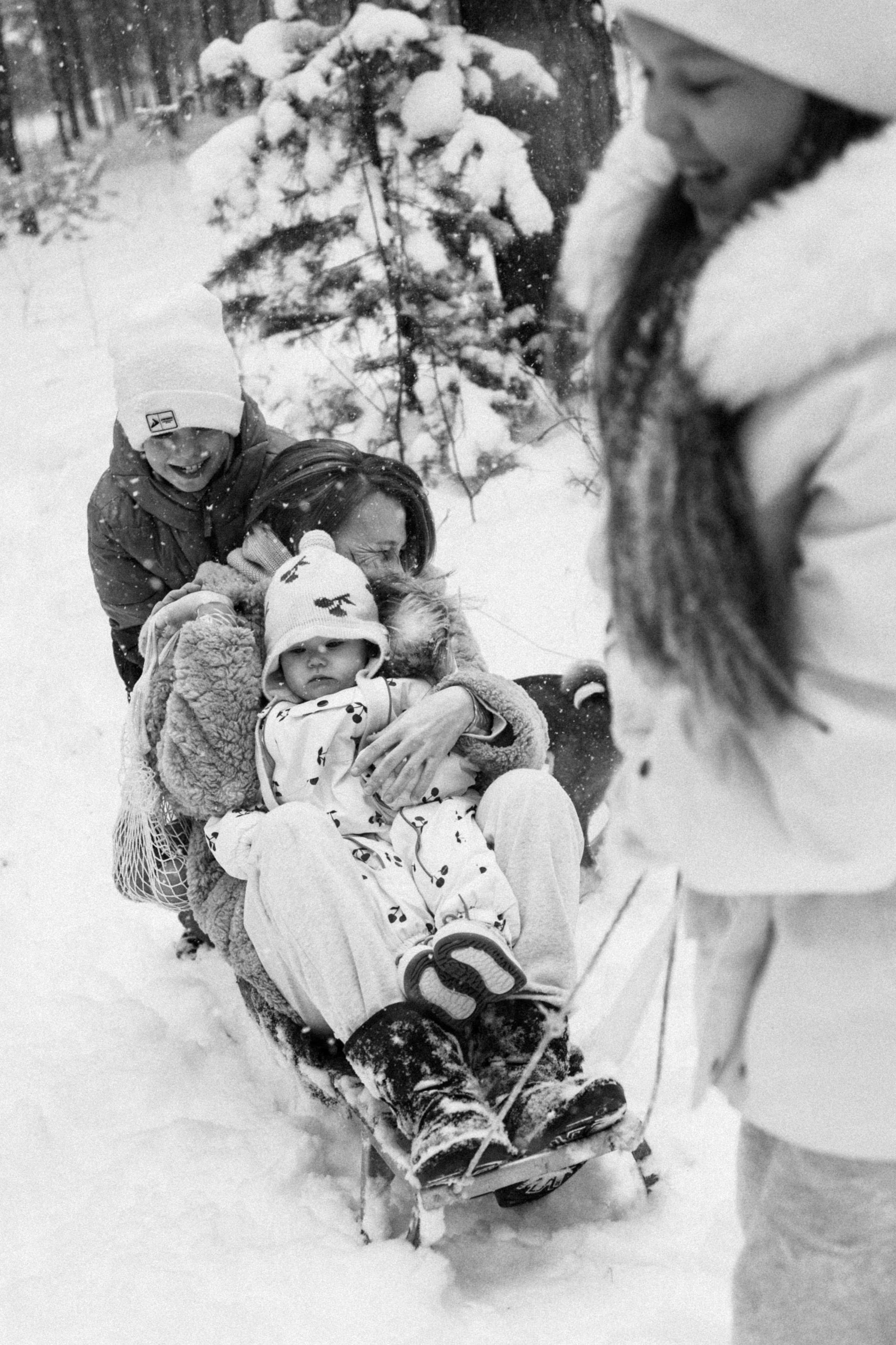 Семья Куркиных | 2026