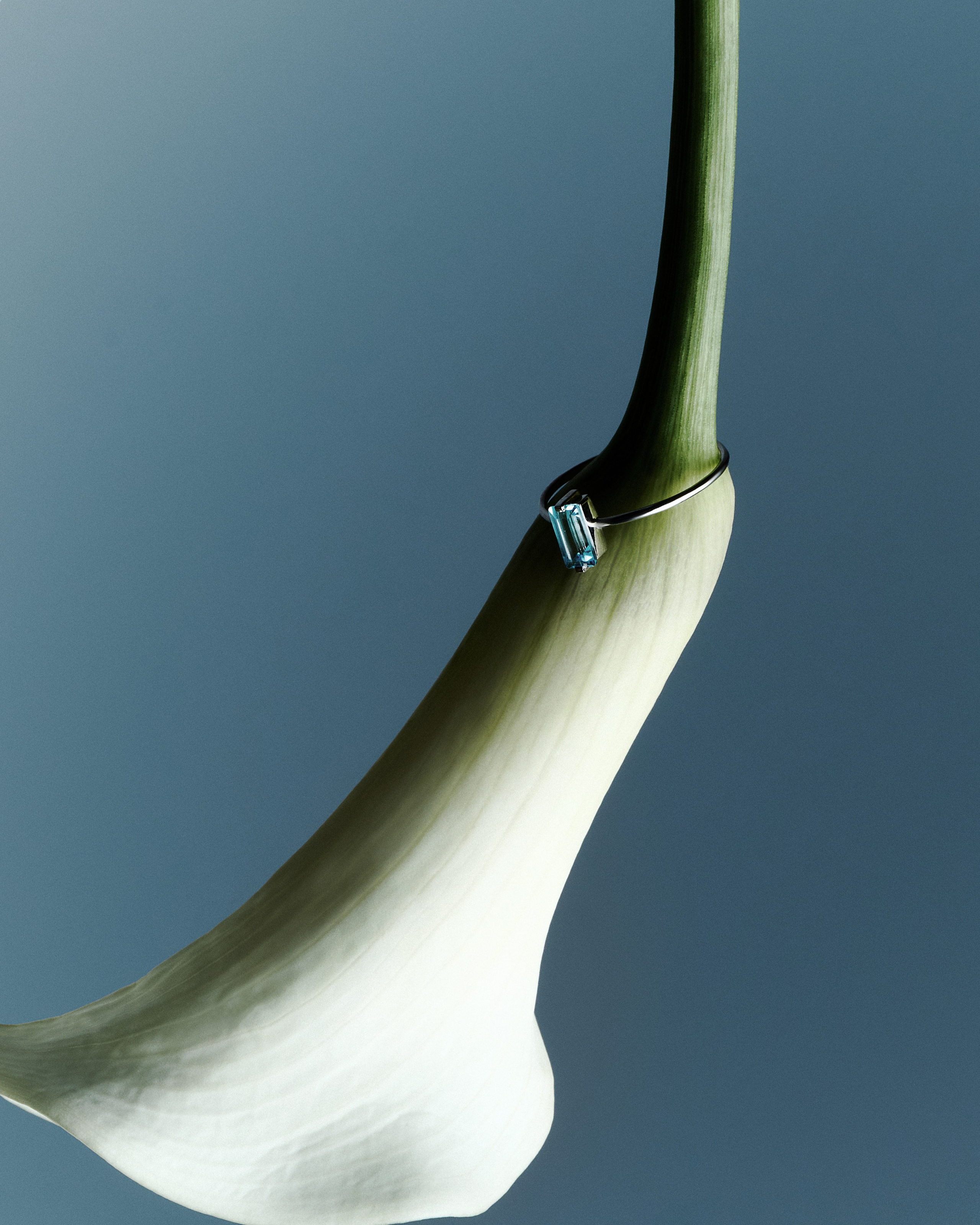 LOVELAVKA. Главная