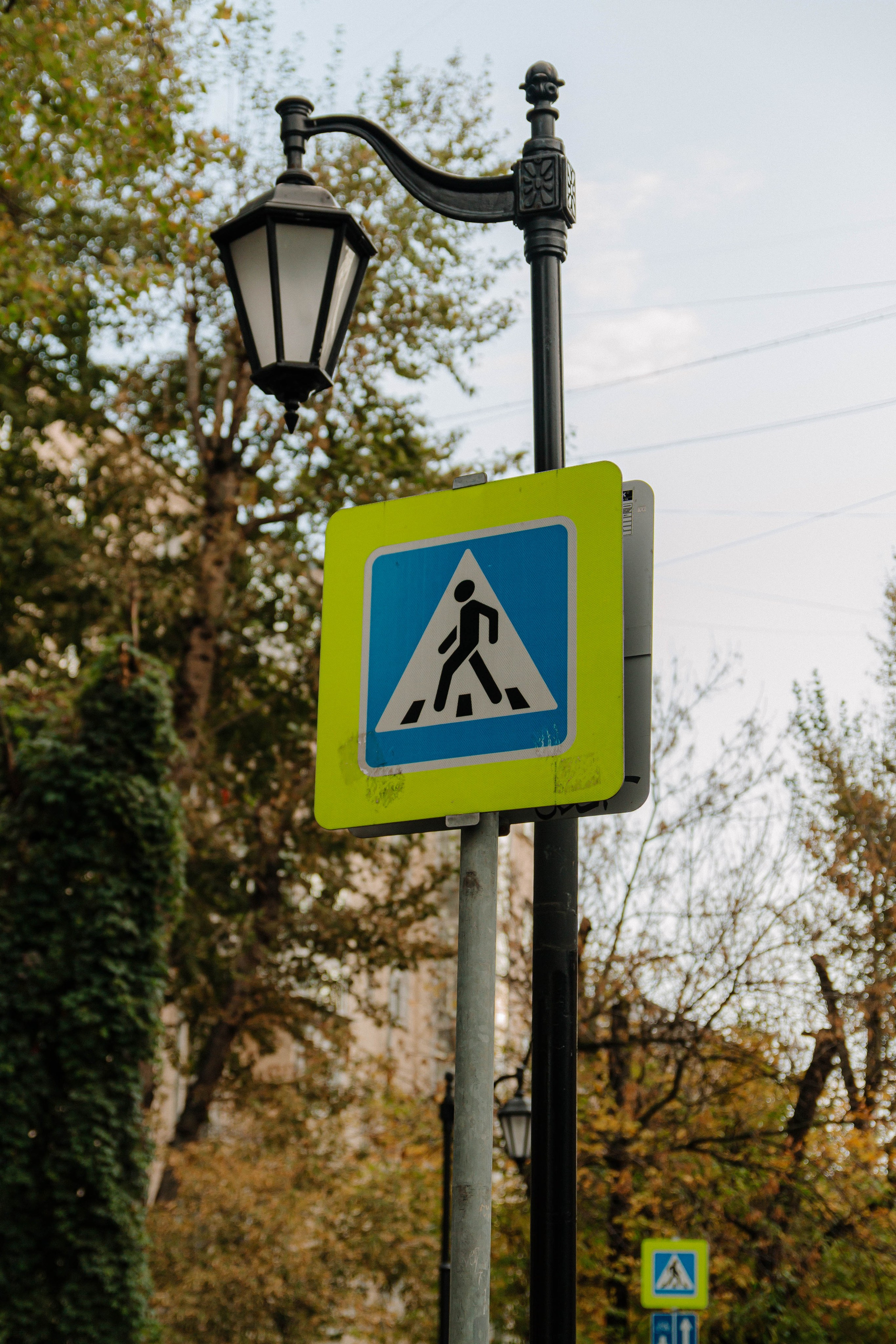 Нина. Твой фотограф Алина Кочергина