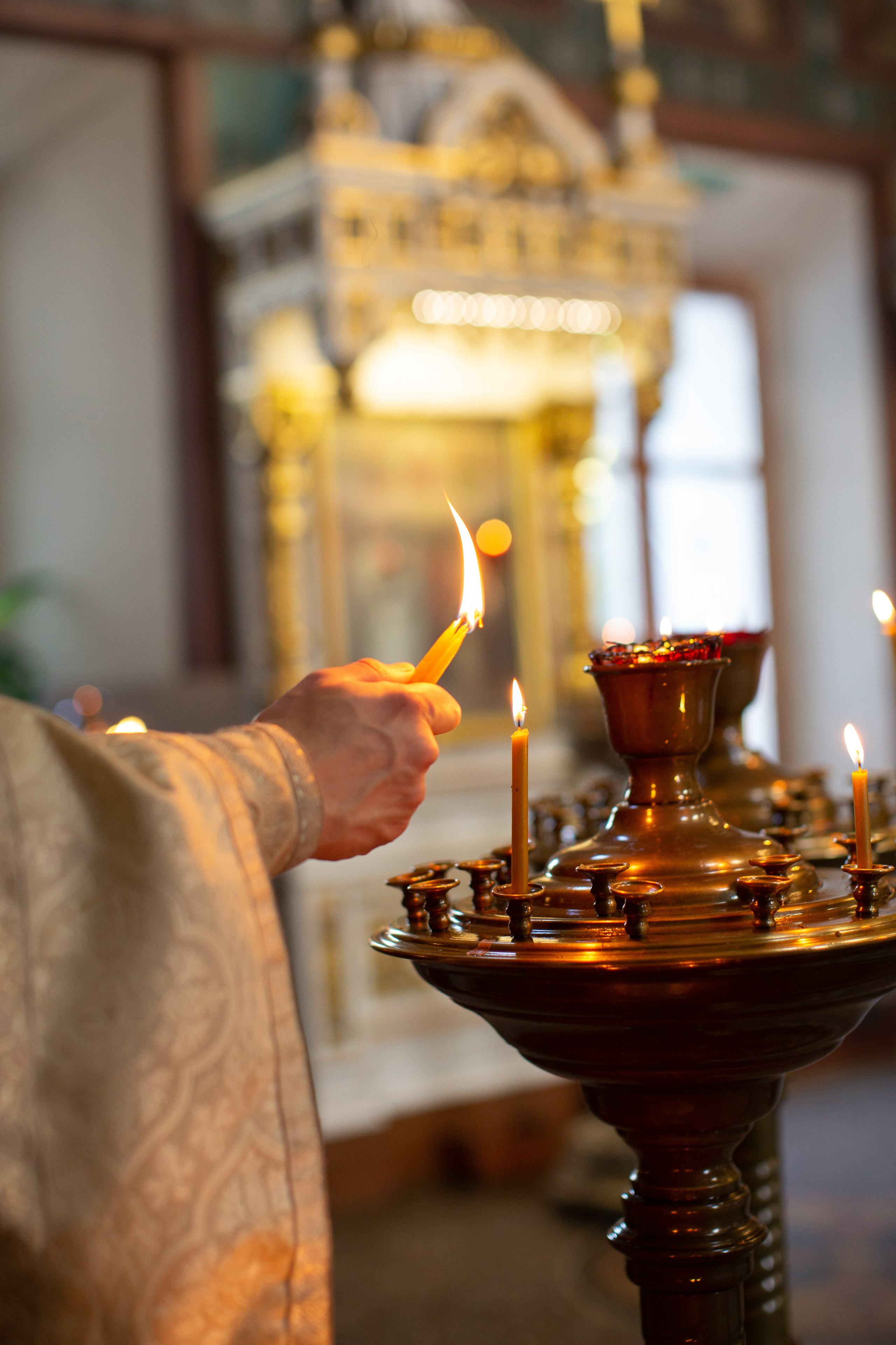 Миша. Фотограф в Москве и Московской области Голубева Анастасия