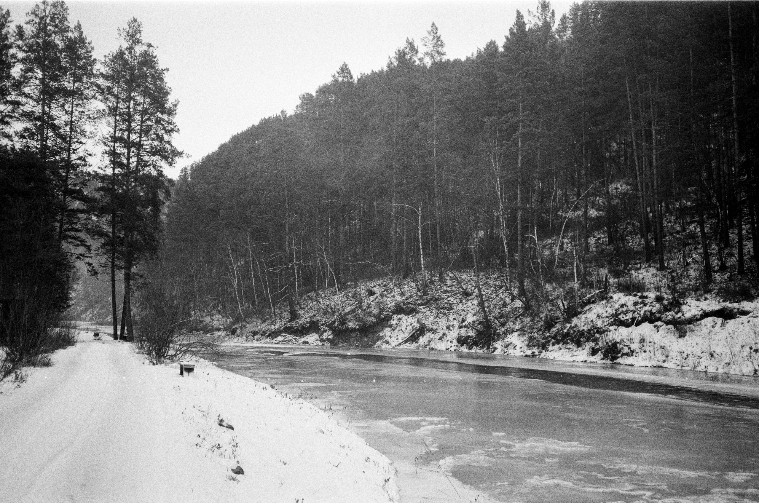Olympus AF-10 SUPER / Ilford PAN 400 / Алтай, зима 2023 год
