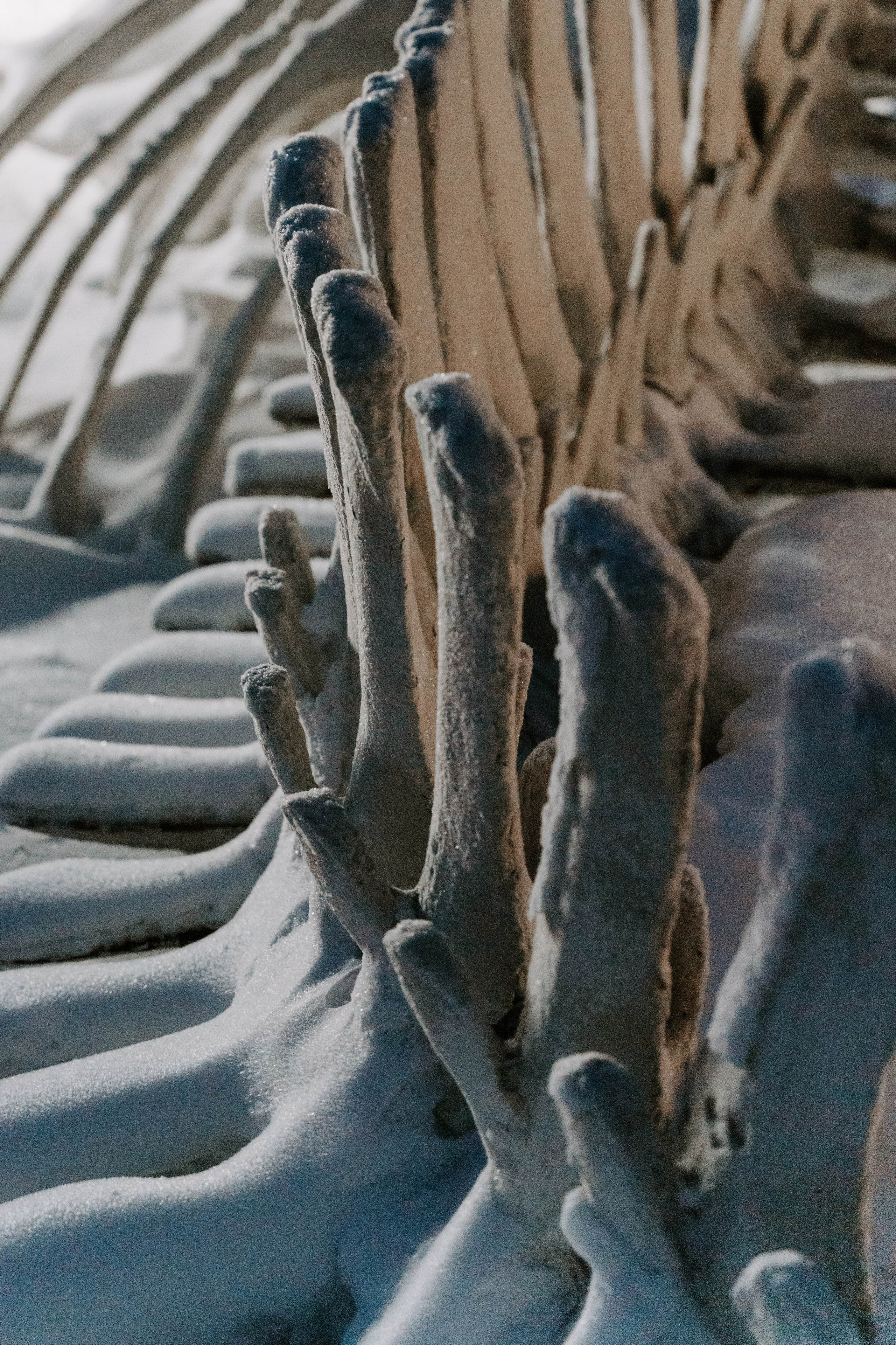 Кольский полуостров