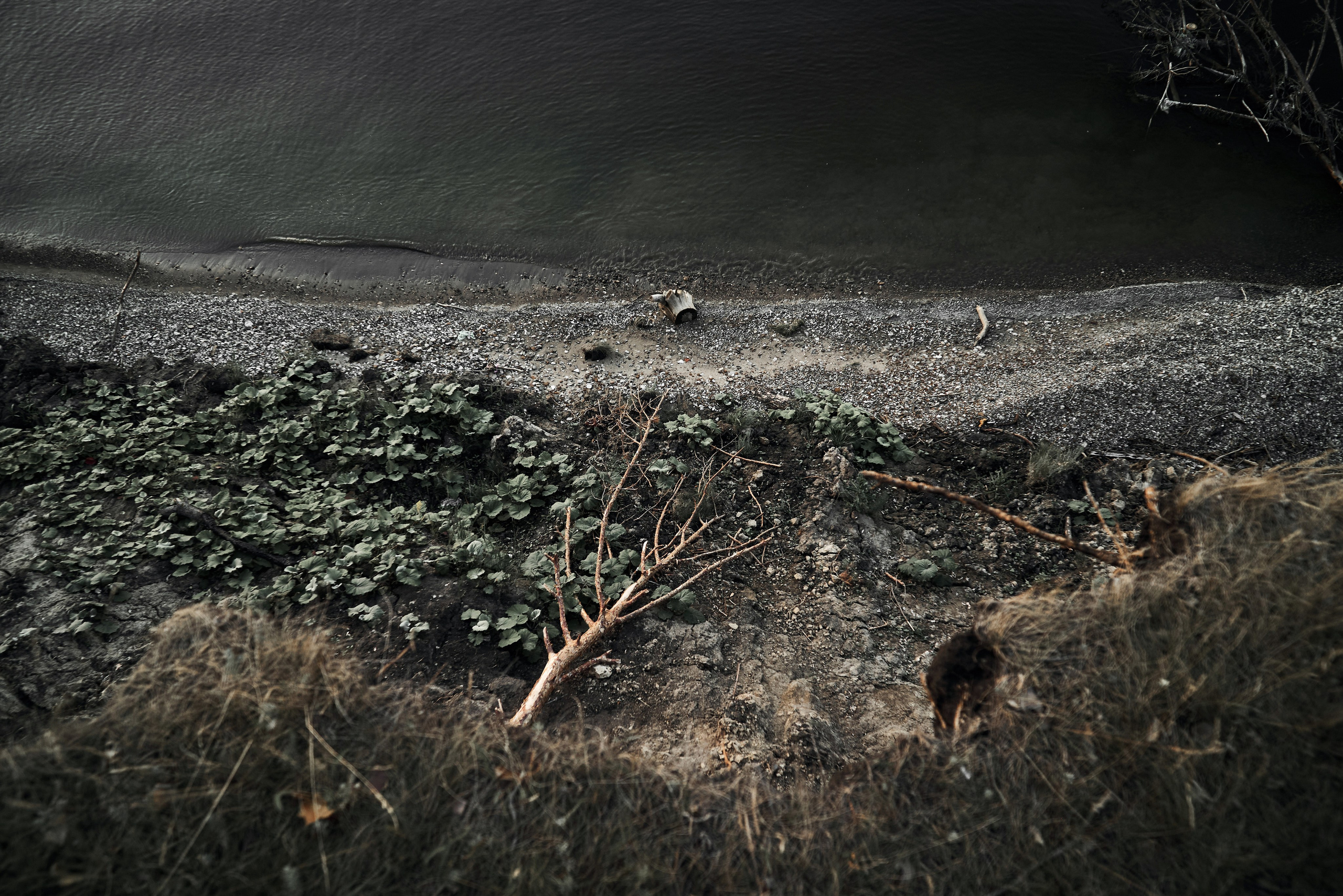 Анастасия & Андрей. Фотограф Михаил Ефремов