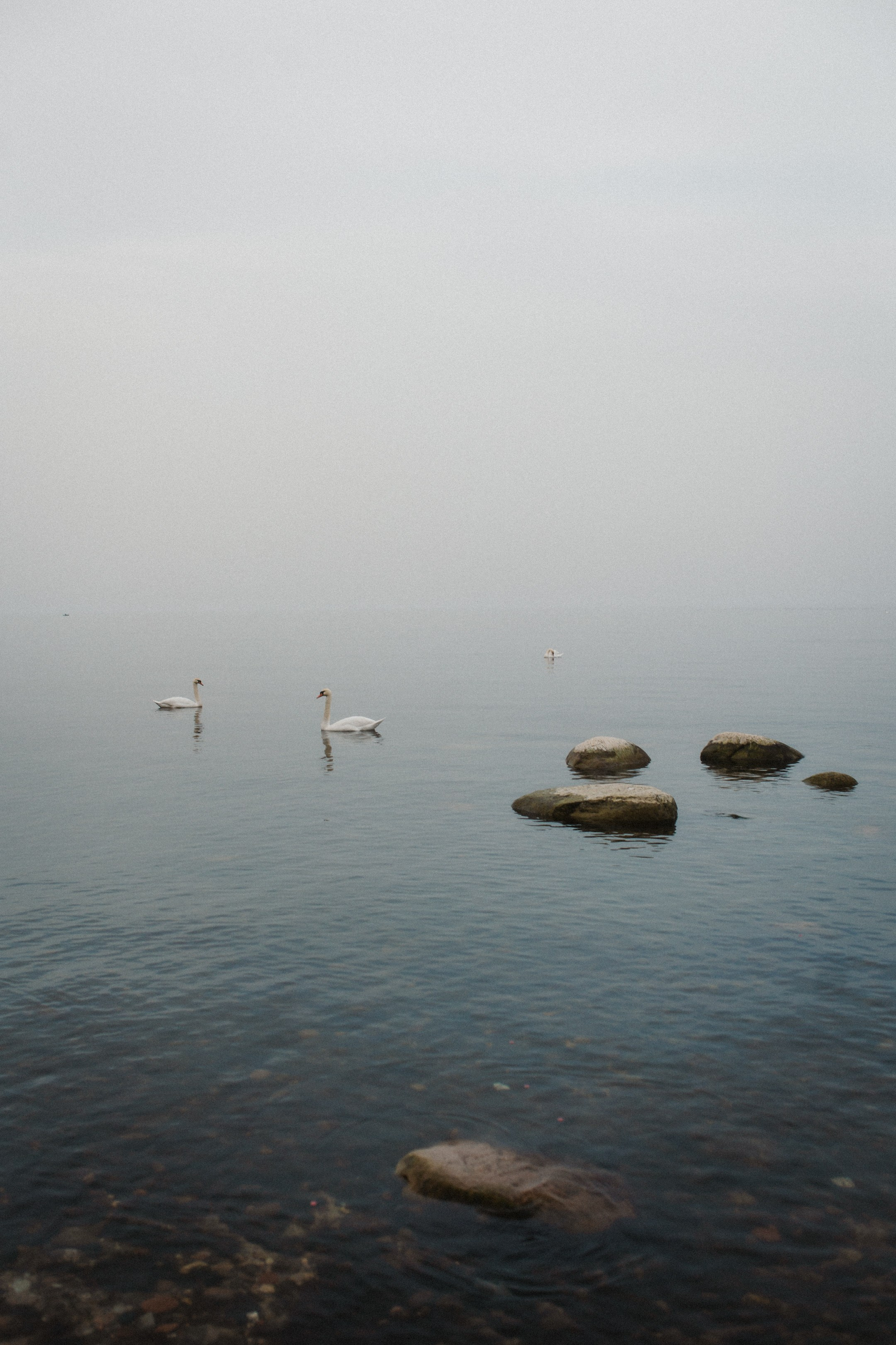 Raya. Свадебный и портретный фотограф в Калининграде и Москве Марк Юдинцев