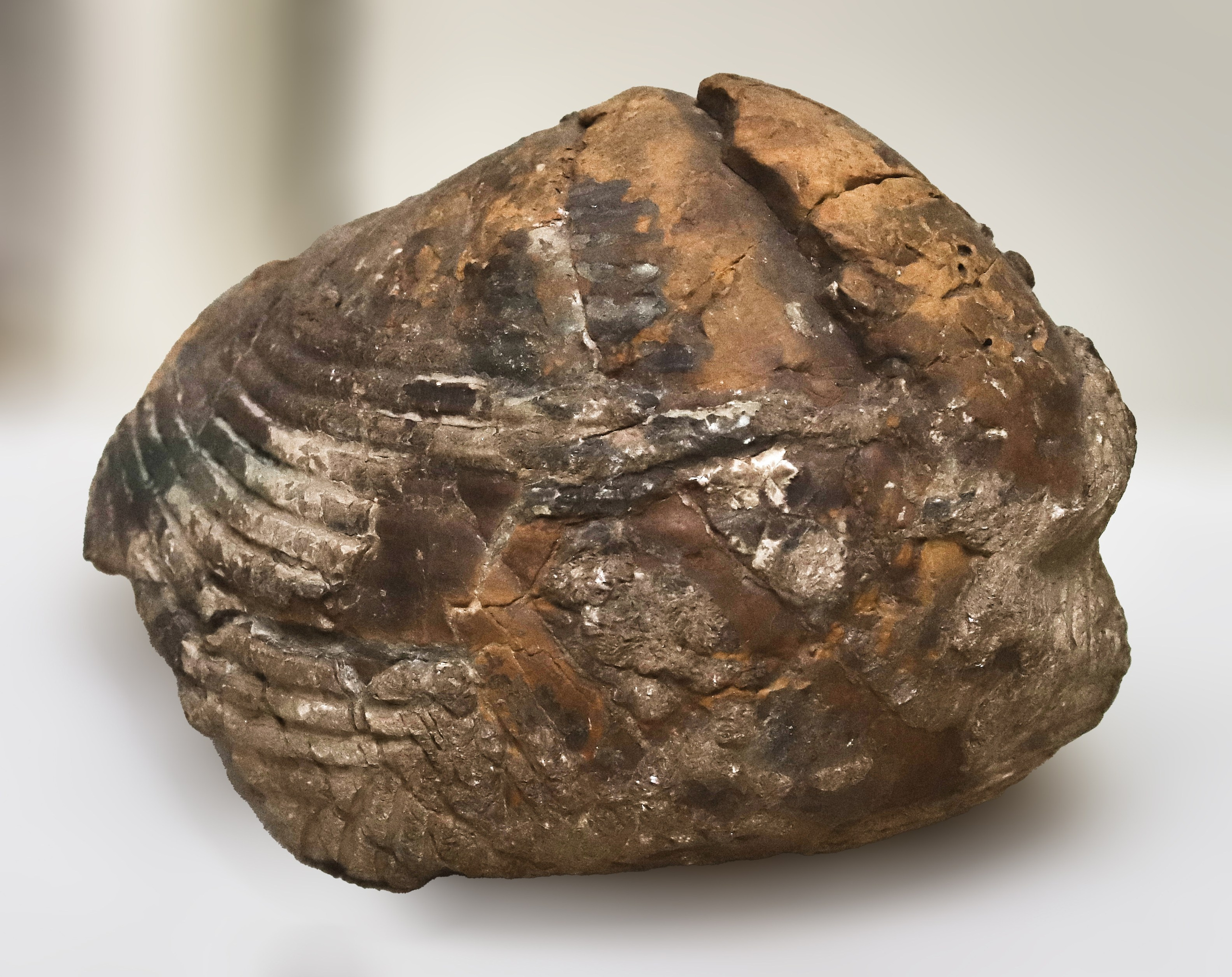 Каменная летопись. Фотограф Юлия Маринина