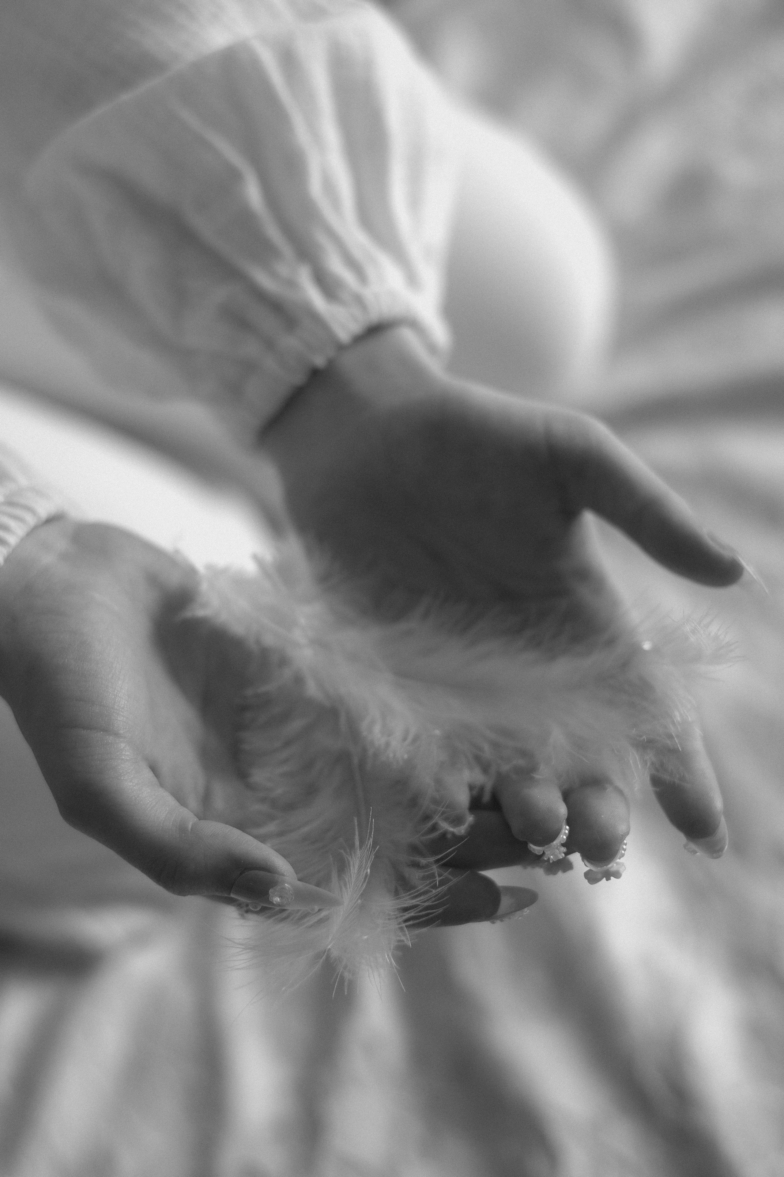 Большая свадьба 05.04.2025. Photographer_anastasia_margushina