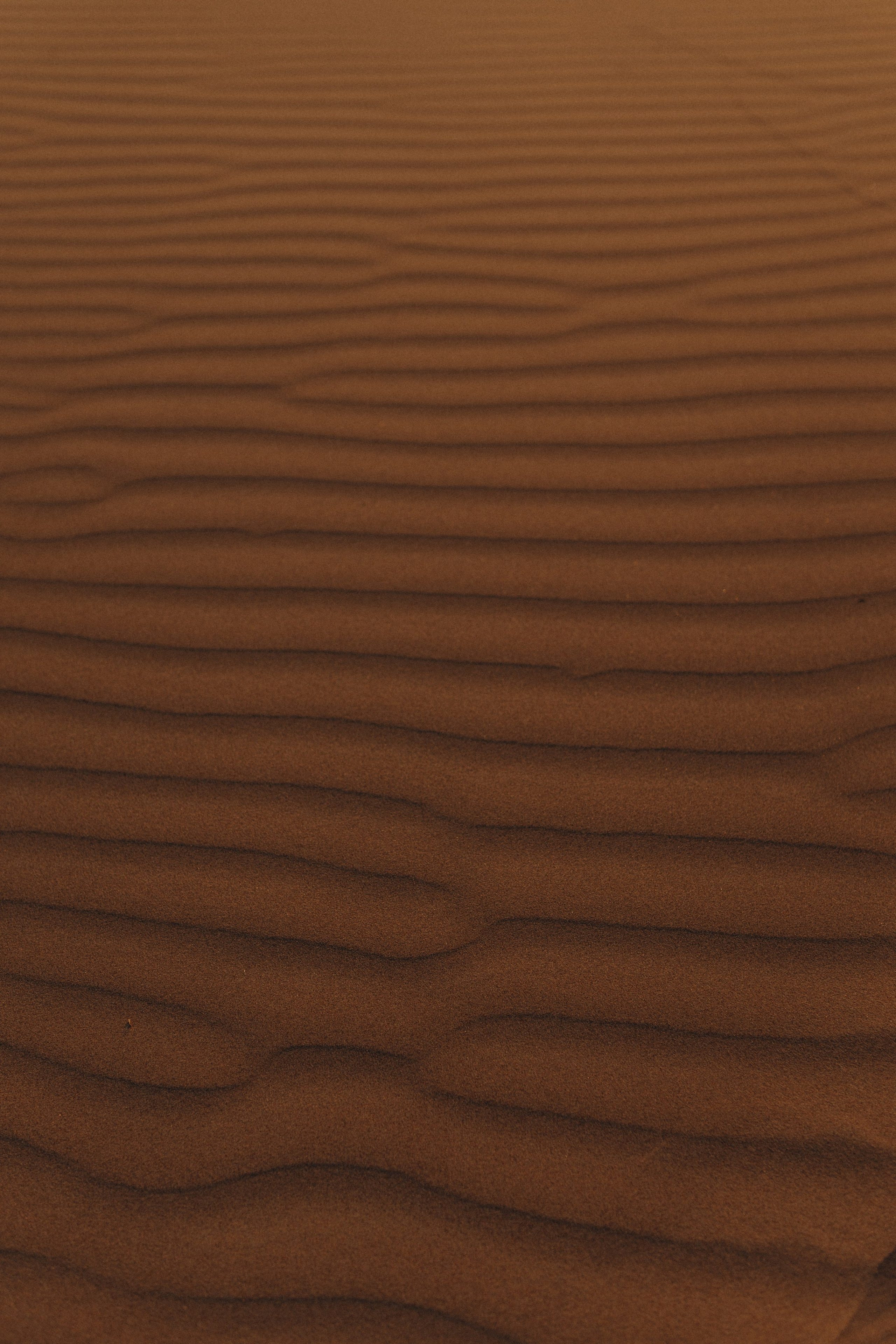 Даниил Софья и Петр. Семейный фотограф в Новороссийске и Анапе Александра Яковлева