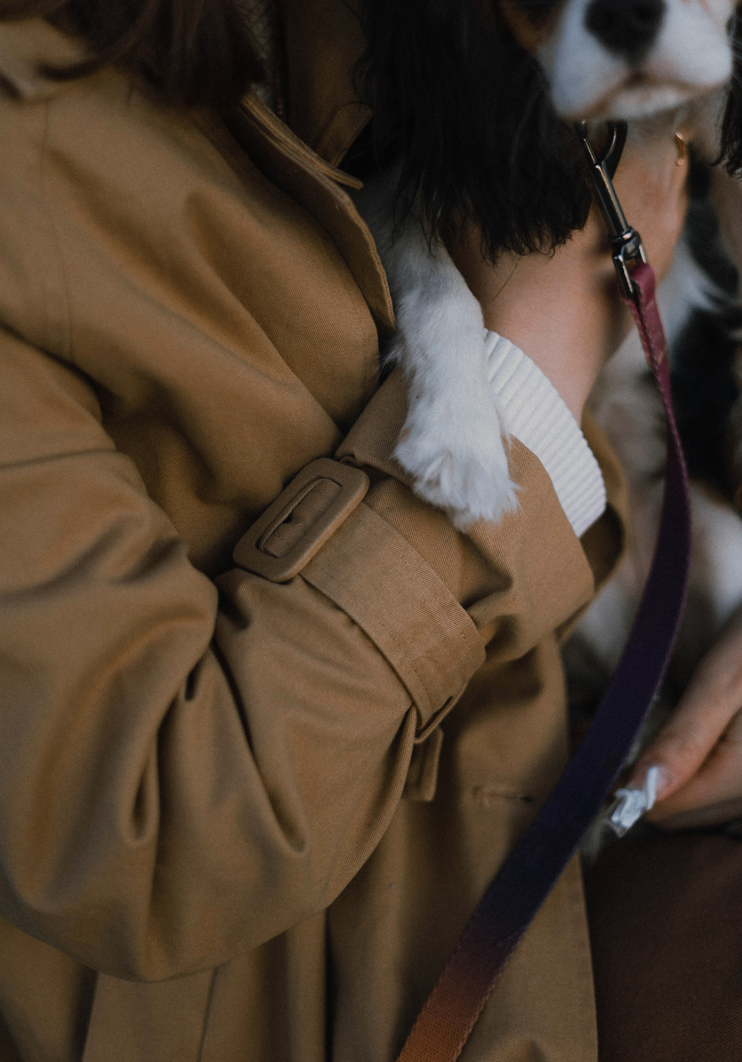 Ангелина и Йен. Фотограф-анималист Богданова Полина