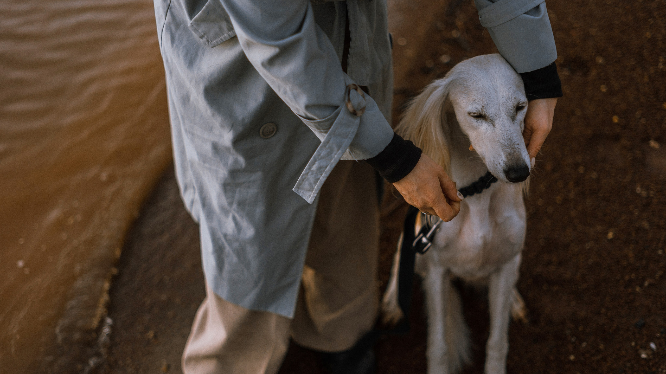 Настя и Бейда. Фотограф-анималист Богданова Полина