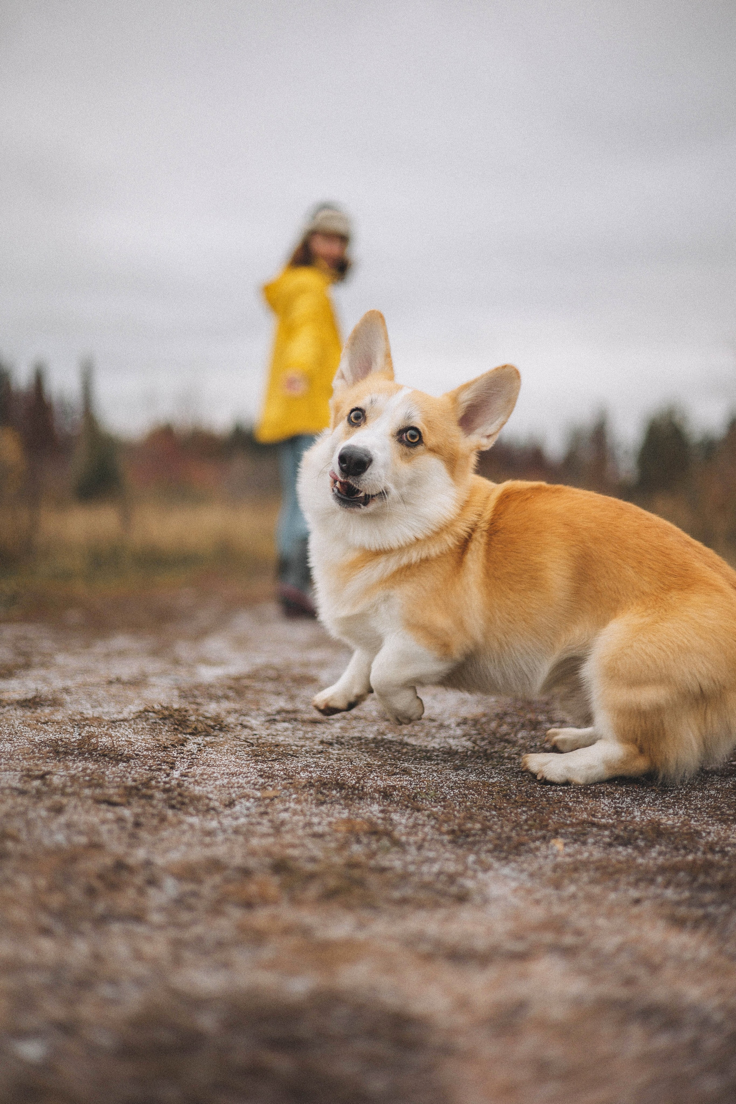 Юля и барри. Фотограф-анималист Богданова Полина
