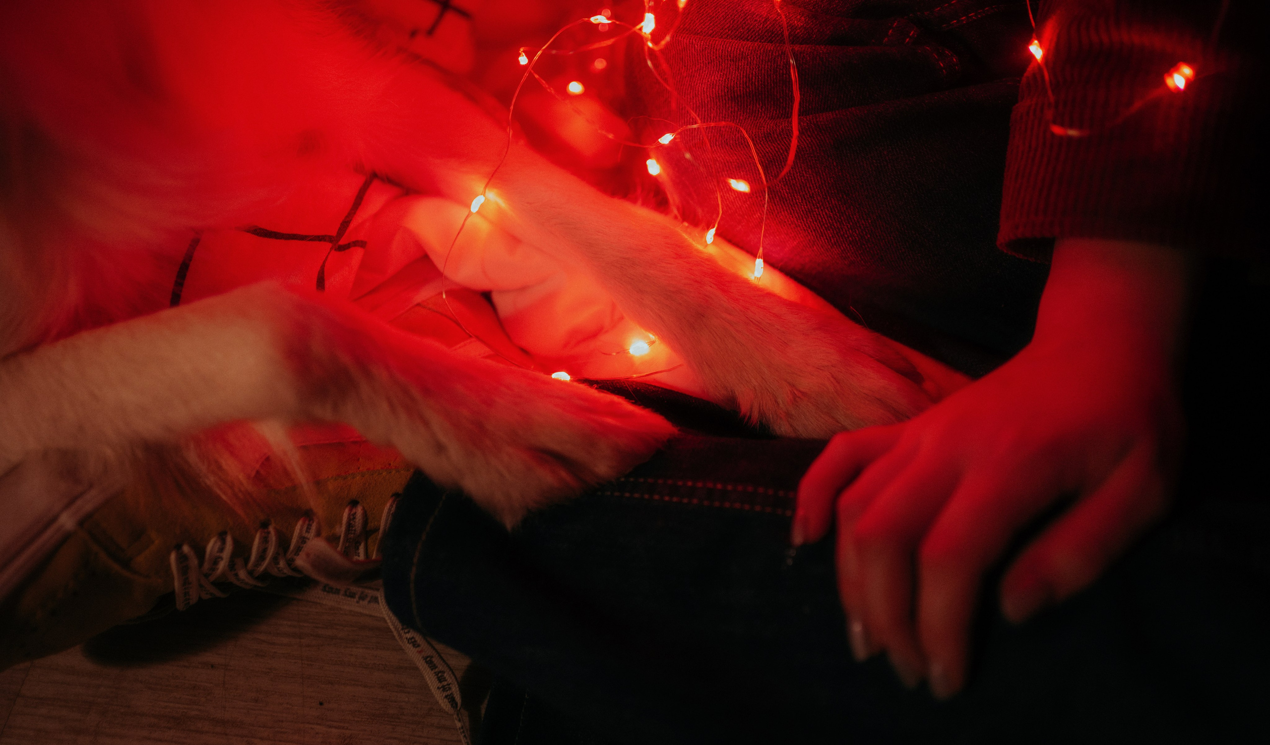 Аня и Дэймон. Фотограф-анималист Богданова Полина