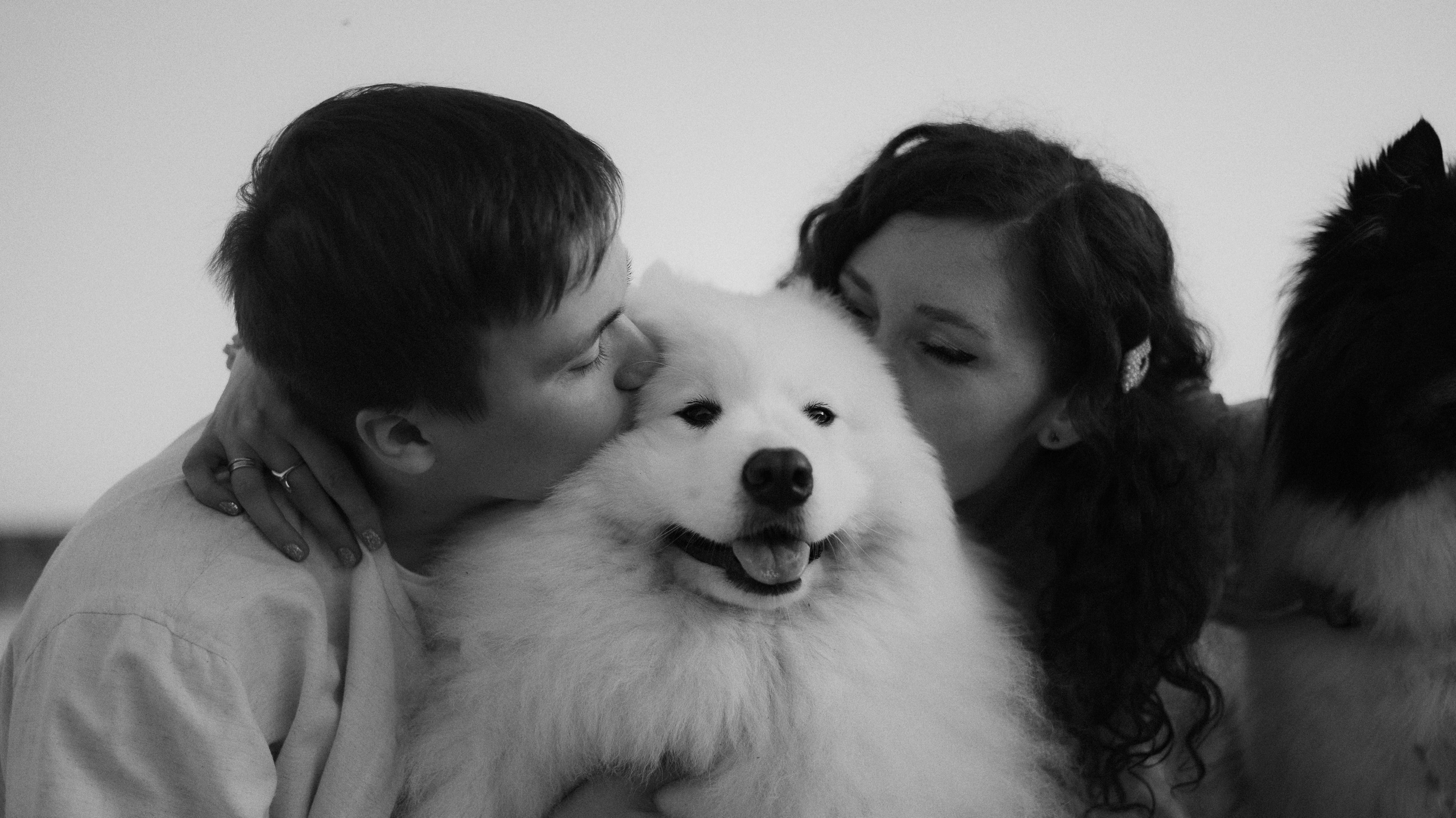 Валерия, Илья, Вита и Умка. Фотограф-анималист Богданова Полина