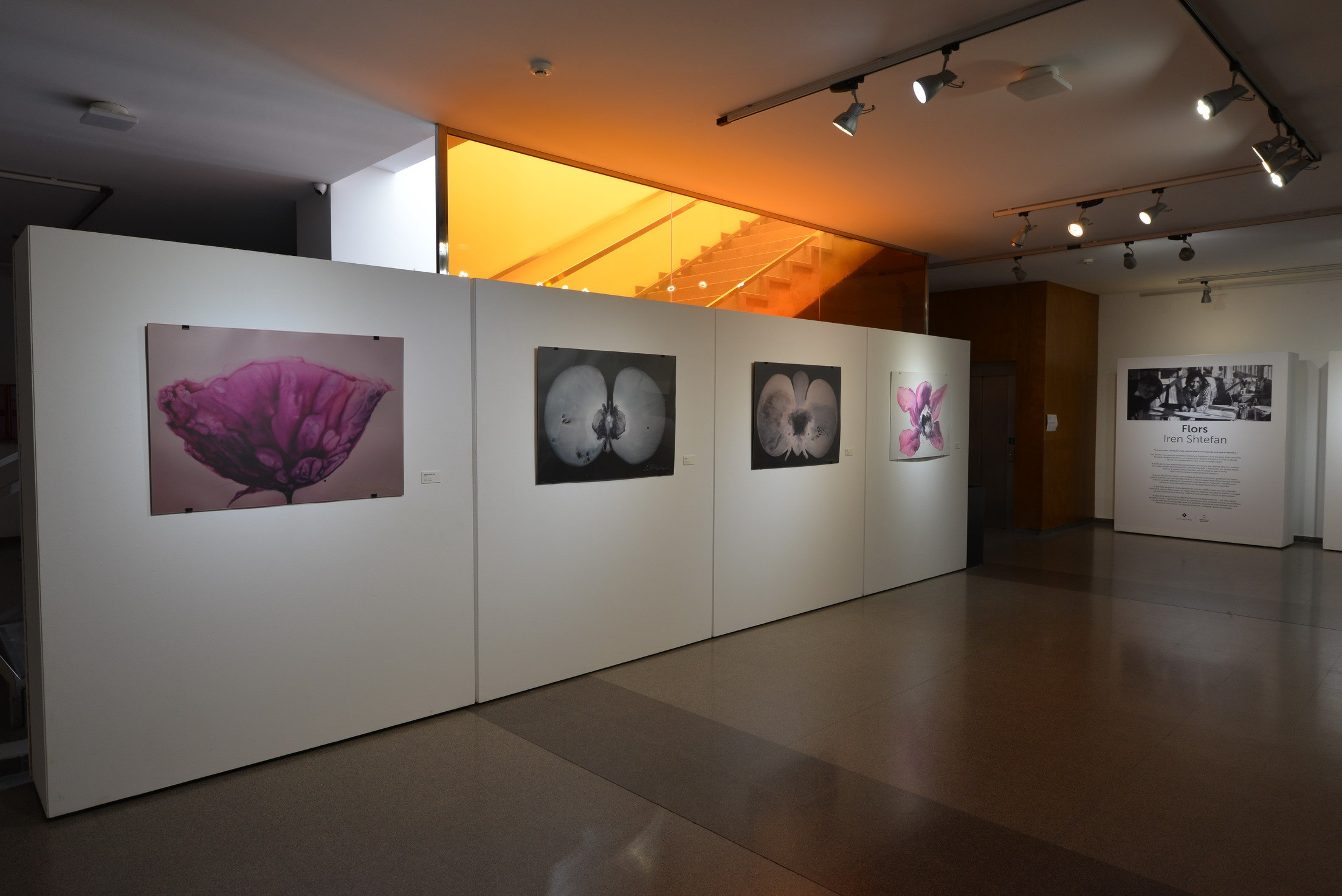 Exposición de Arte Abstracto. Fotógrafo Aleksandr Rybintsev